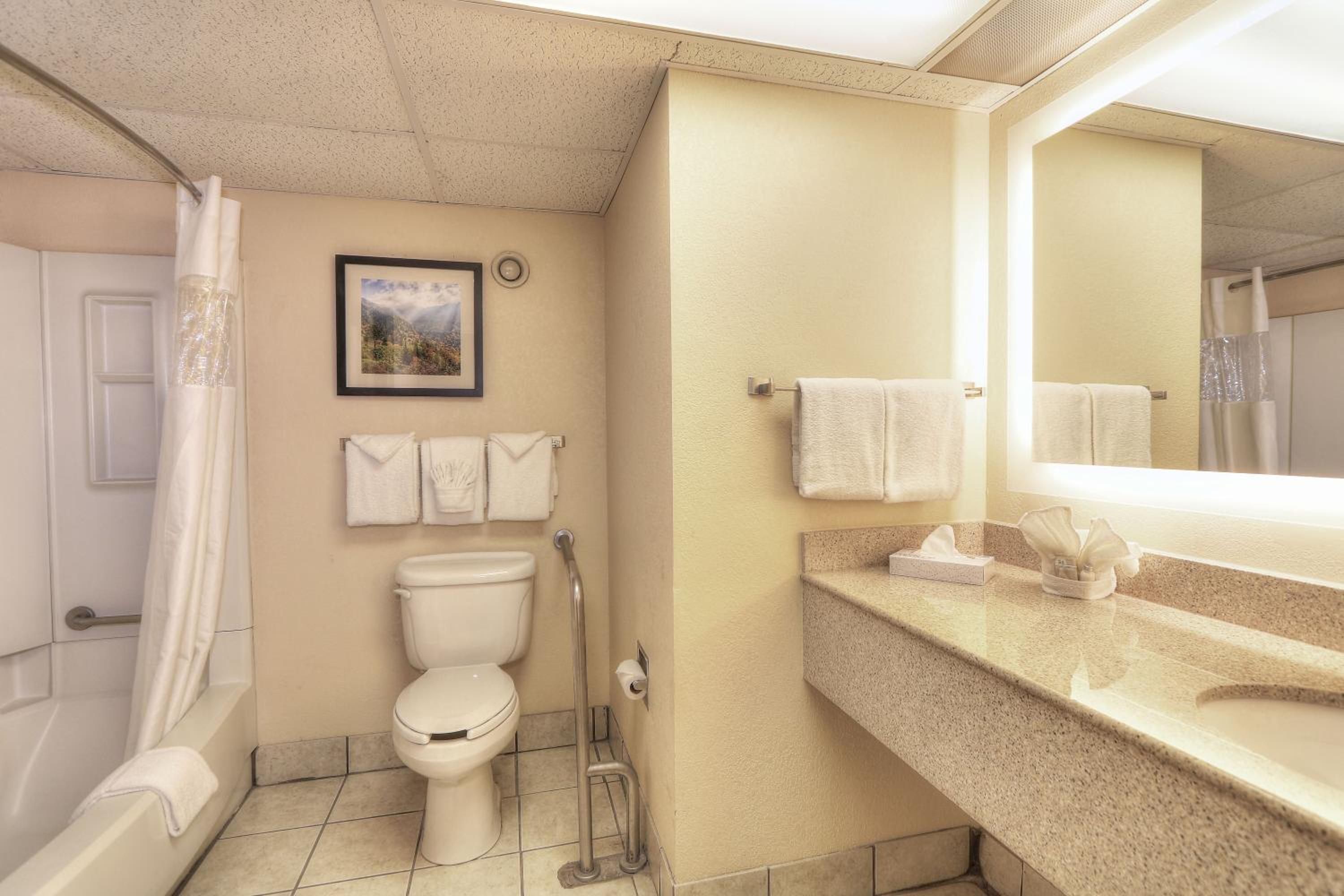 King Room - Disability Access - Photo 1