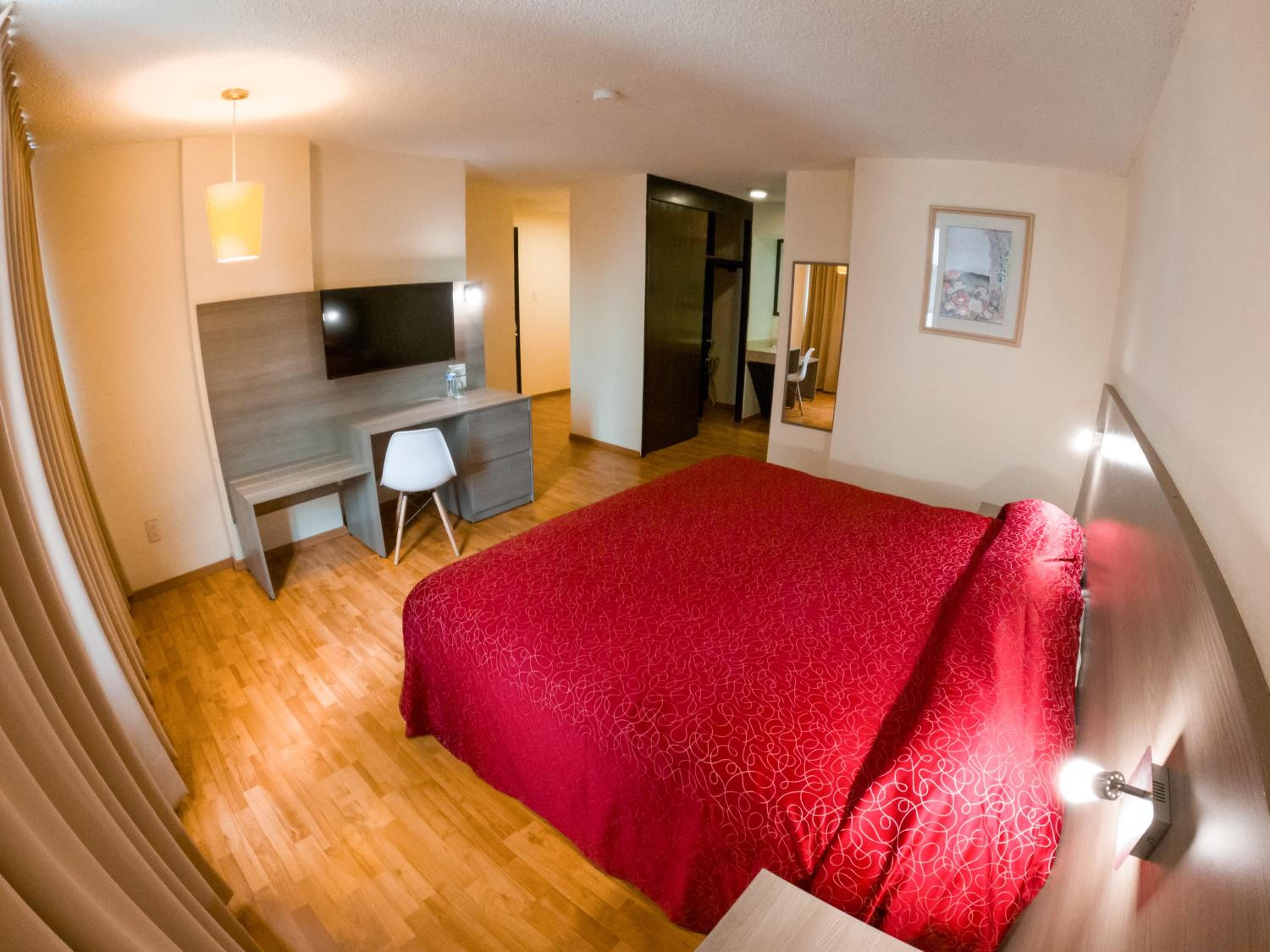Standard Twin Room photo 1
