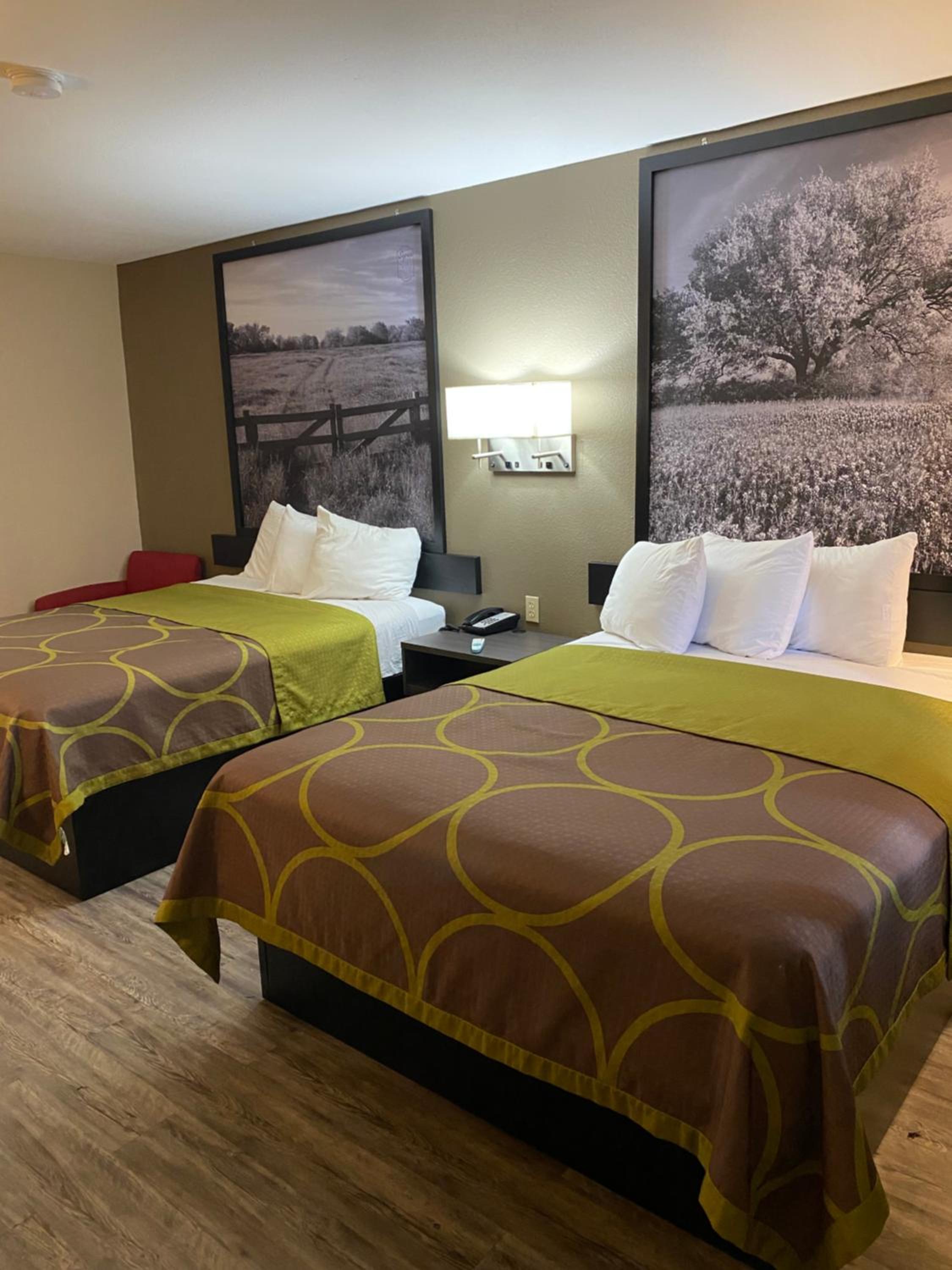 Queen Room with Two Queen Beds and Roll-In Shower - Mobility Accessible/Non-Smoking - Photo 1