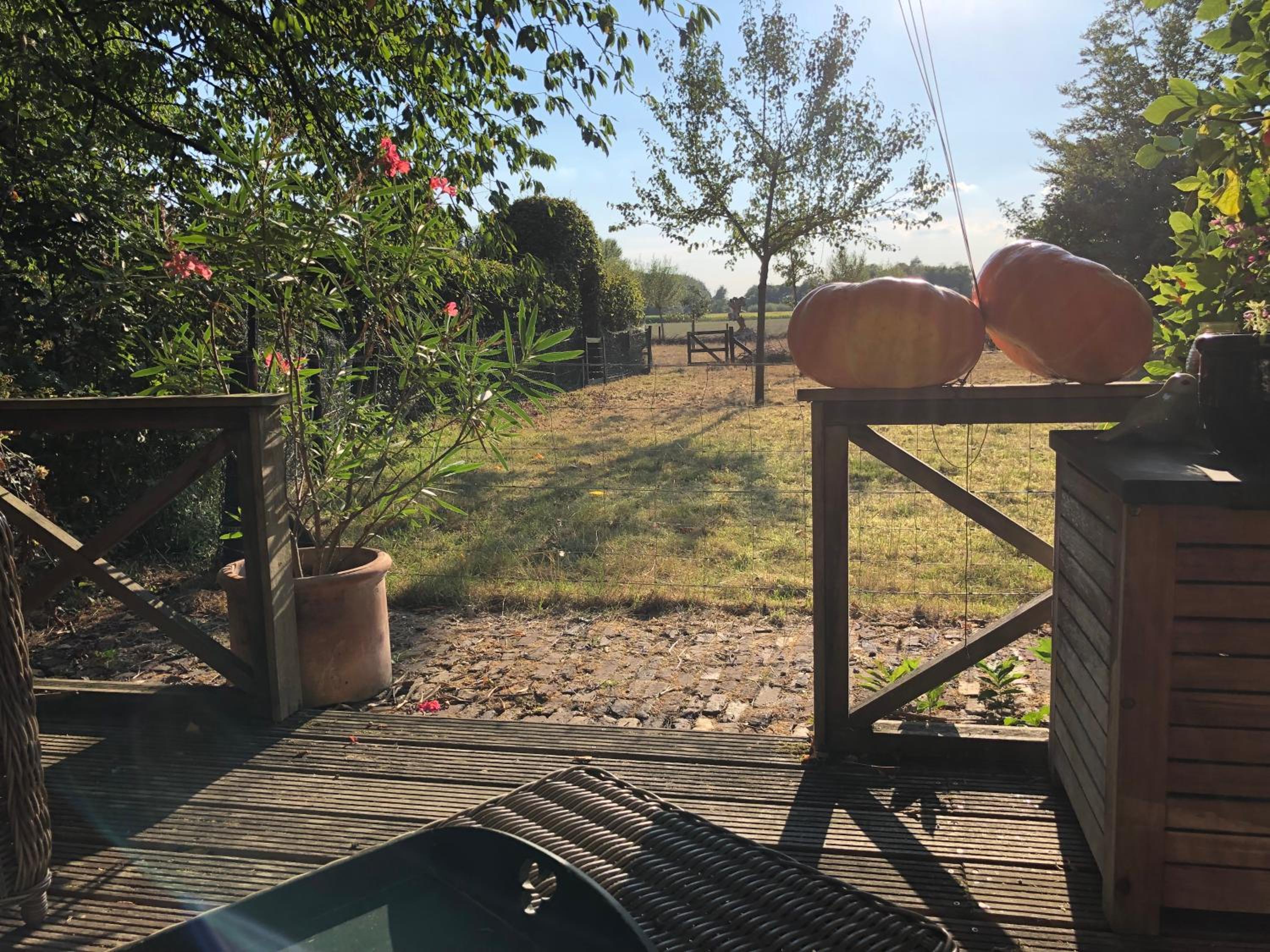 Vacation Home photo 2