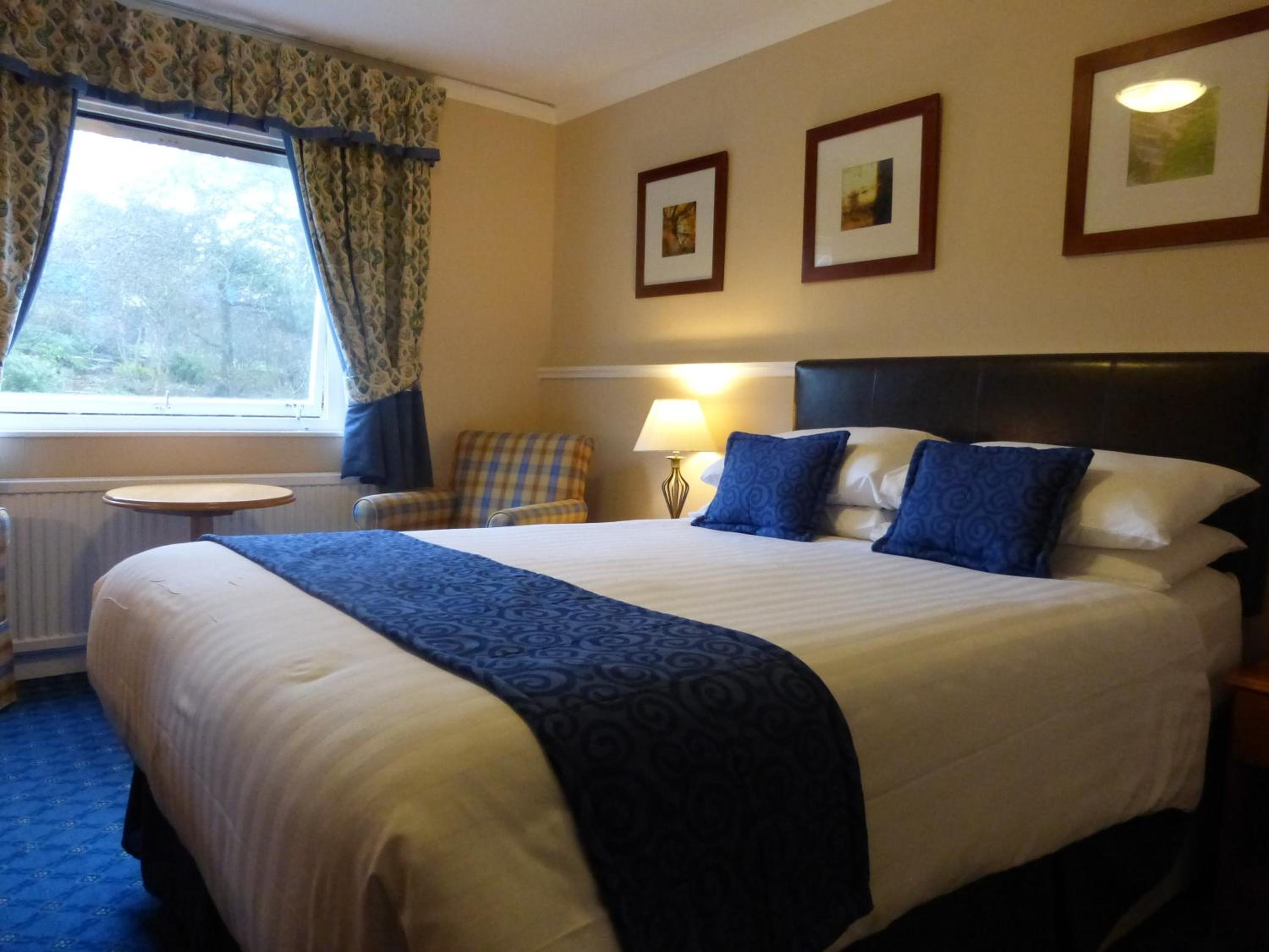 Superior Double or Twin Room - Photo 2