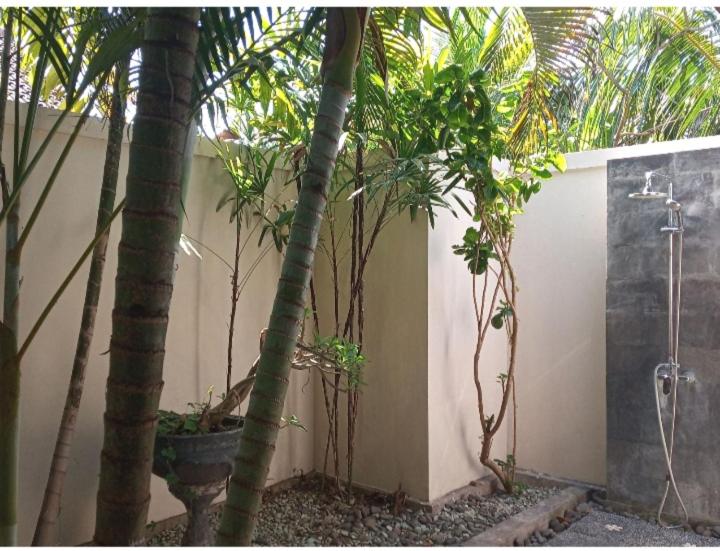 Deluxe Double Room with Balcony photo 3