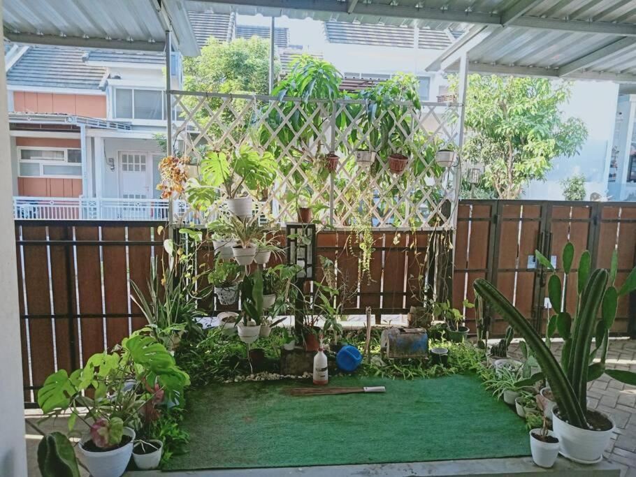 Three-Bedroom Villa photo 2
