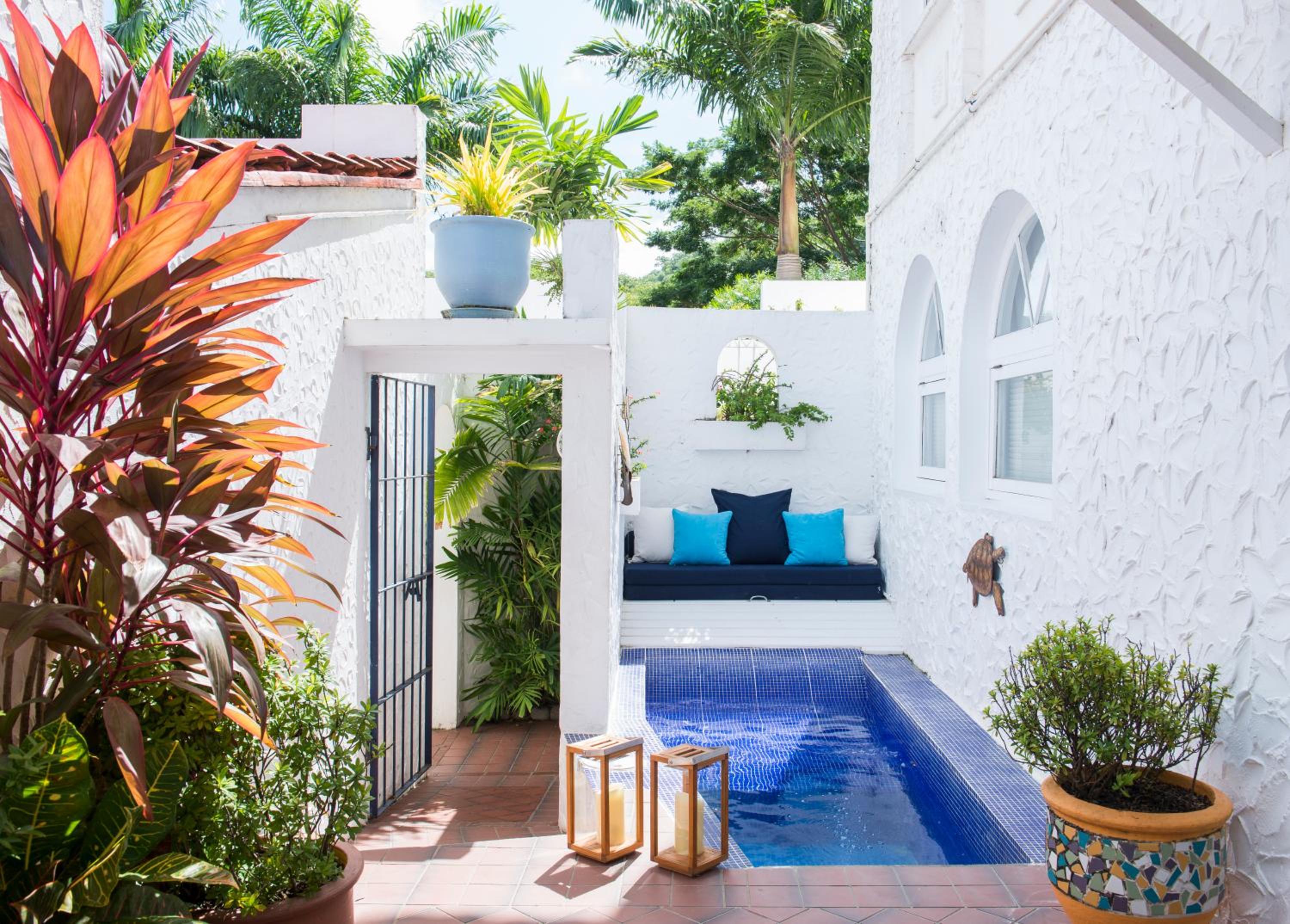 Garden Suite photo 3