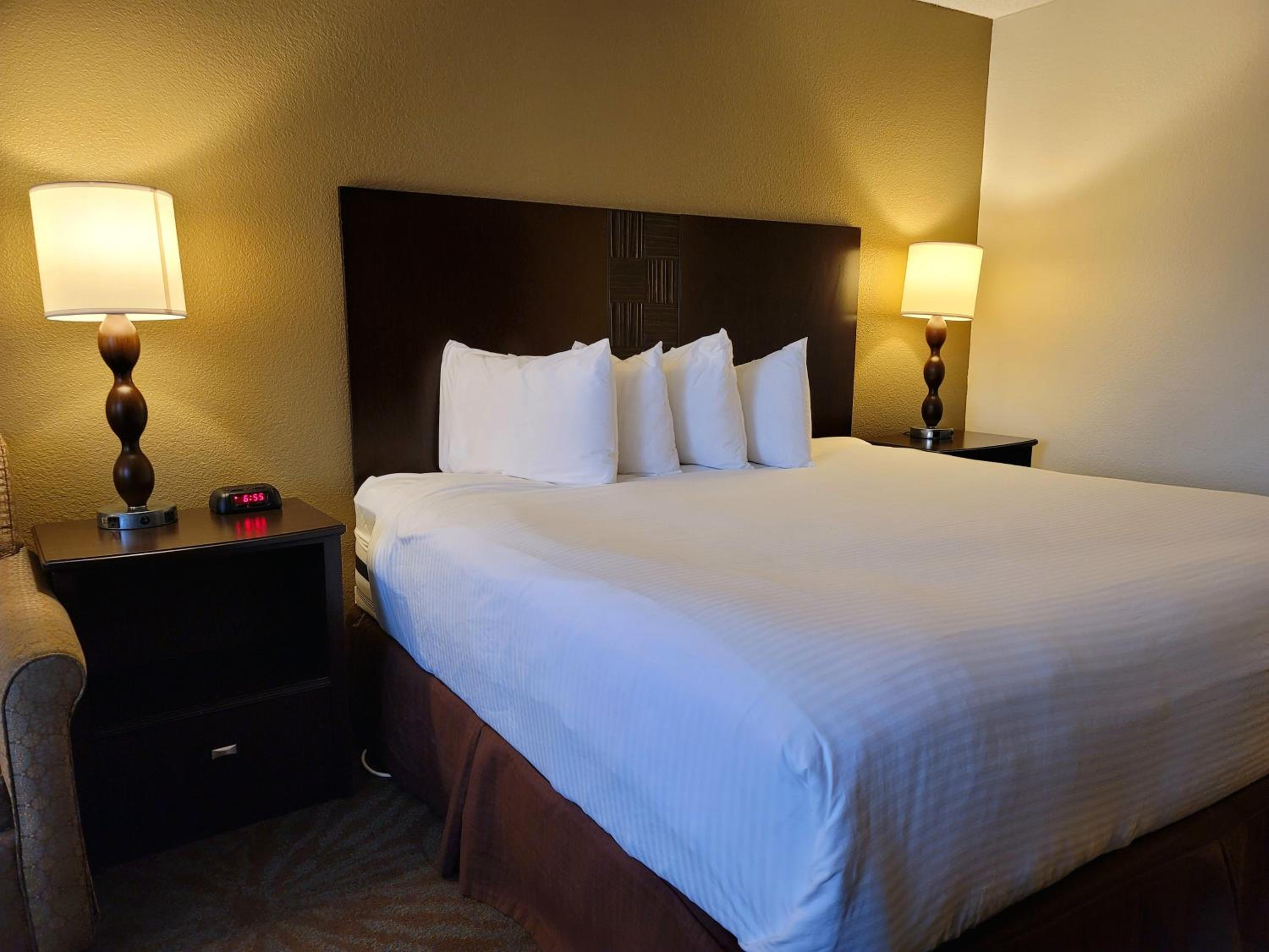 King Room - Non-Smoking - Photo 5