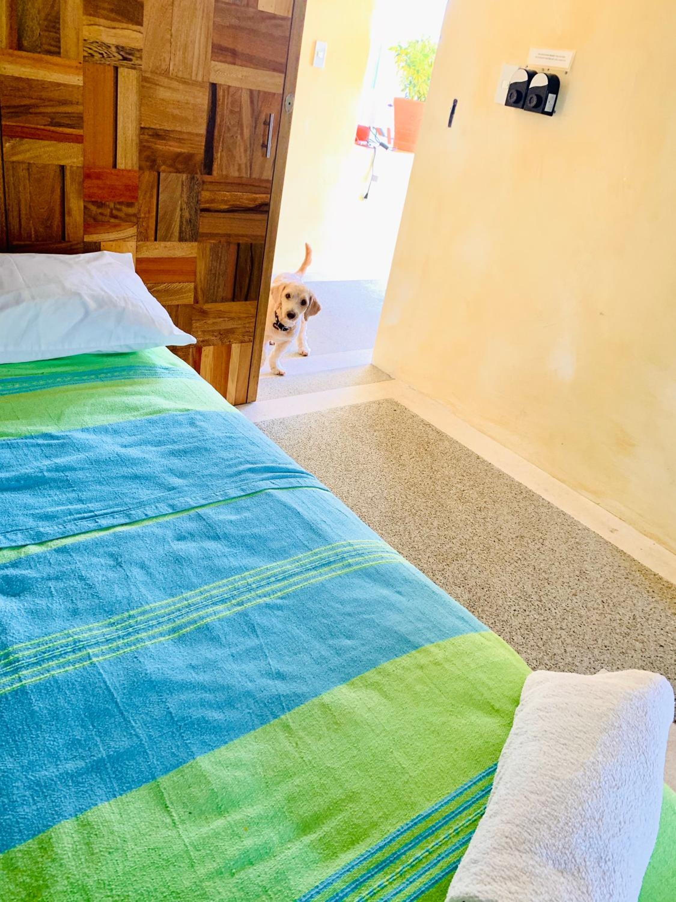 Bed In 4-Bed Dormitory Room