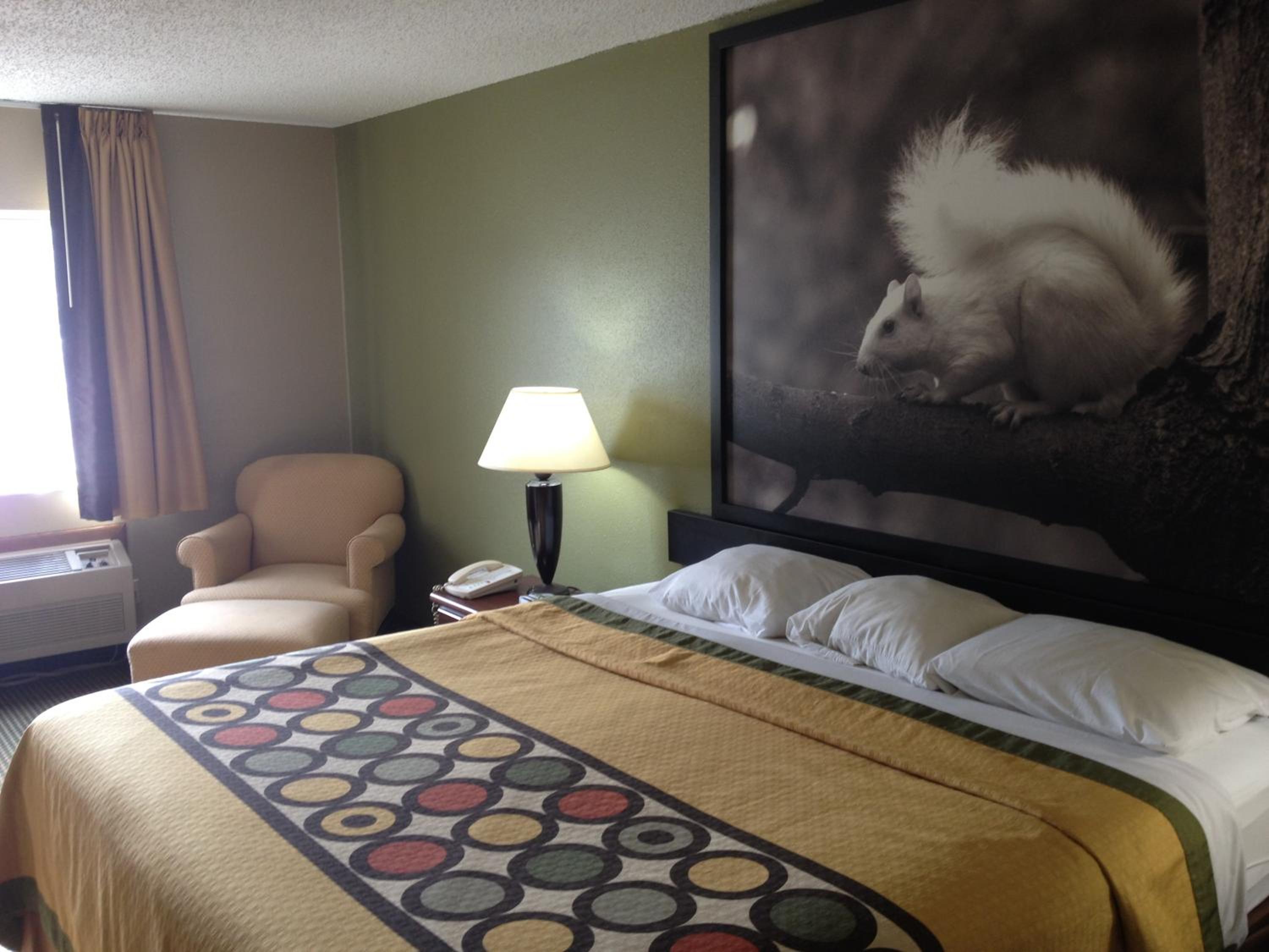 King Room - Non-Smoking - Photo 6