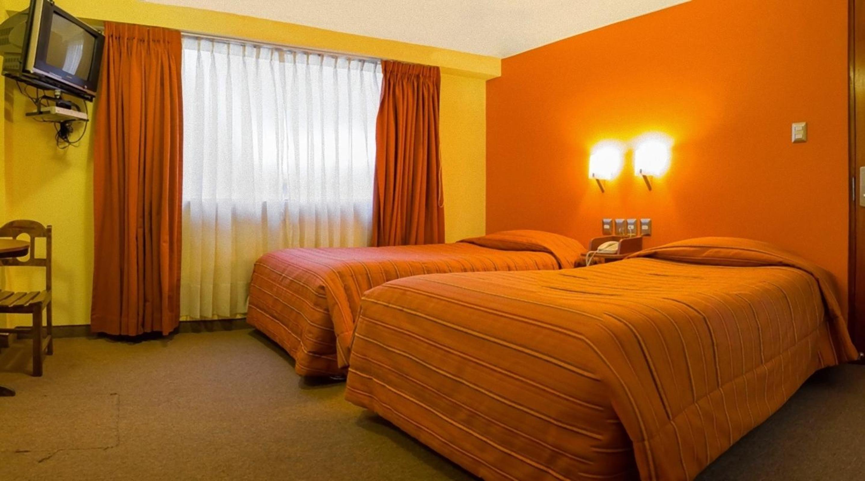 Twin Room photo 3