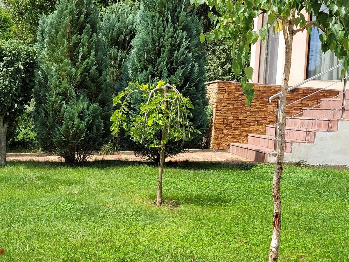 Deluxe Villa photo 1