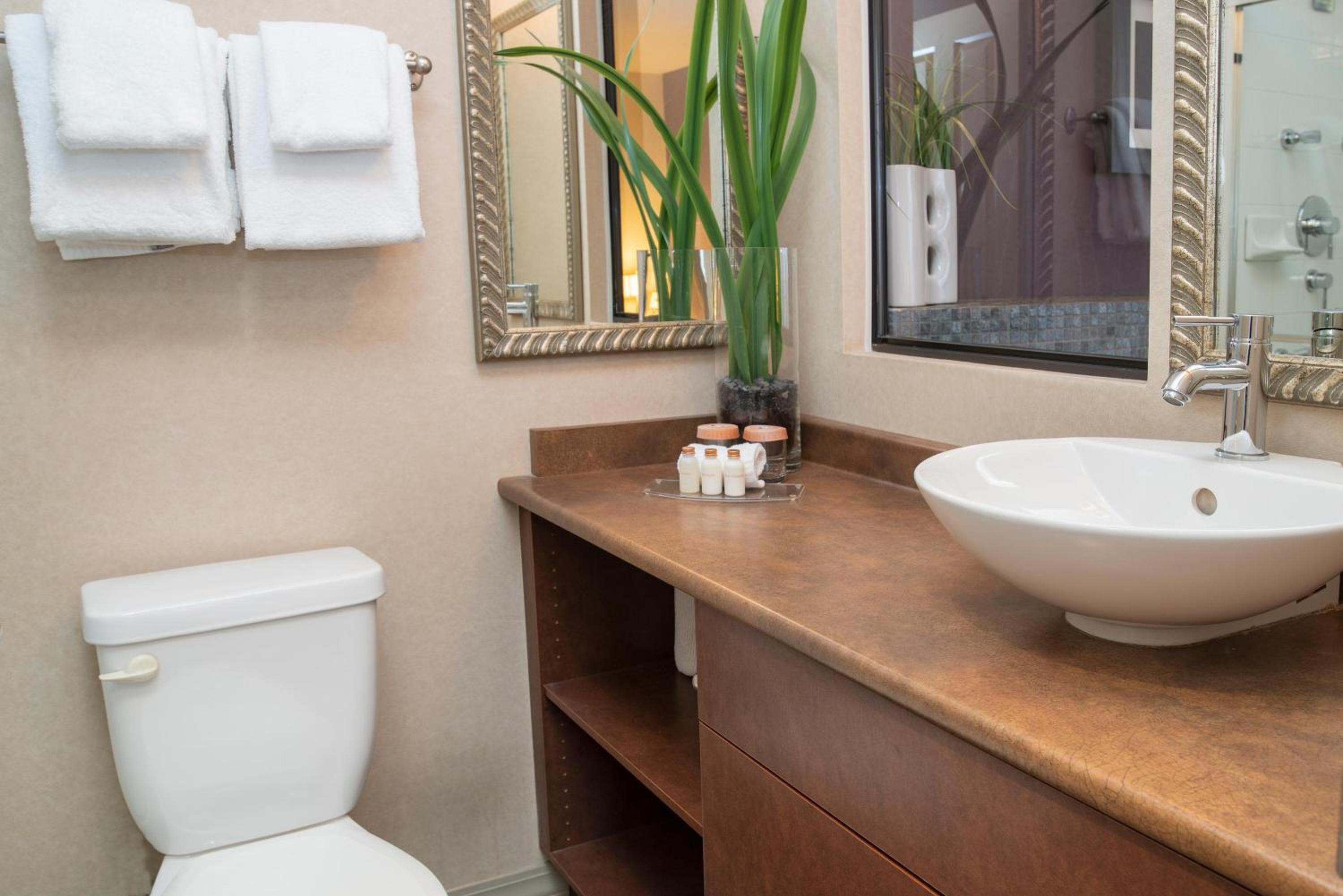 City View Penthouse Studio, 1 Queen Bed, Jacuzzi, Kitchen, Balcony - Photo 4