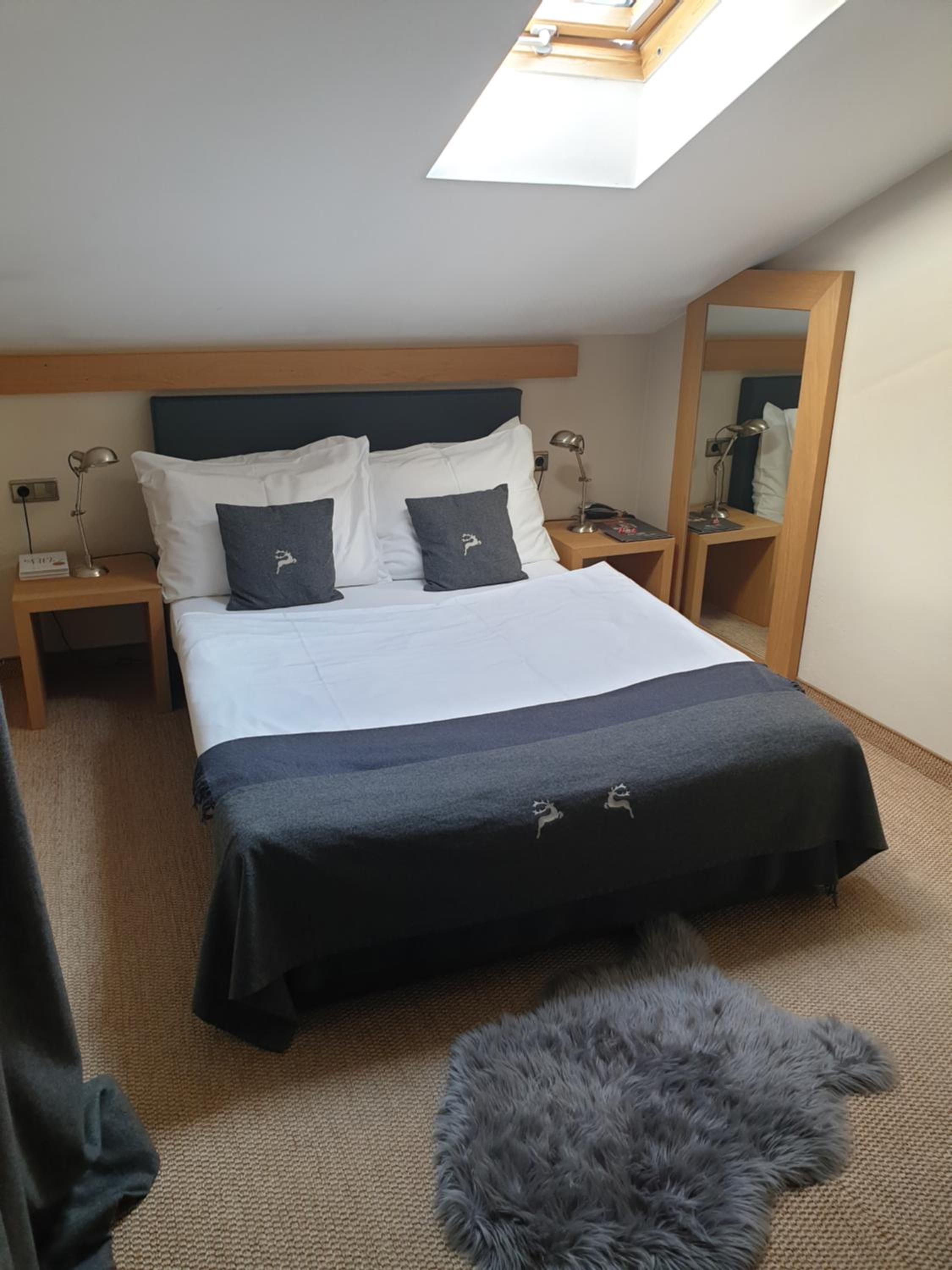 Single Room photo 2