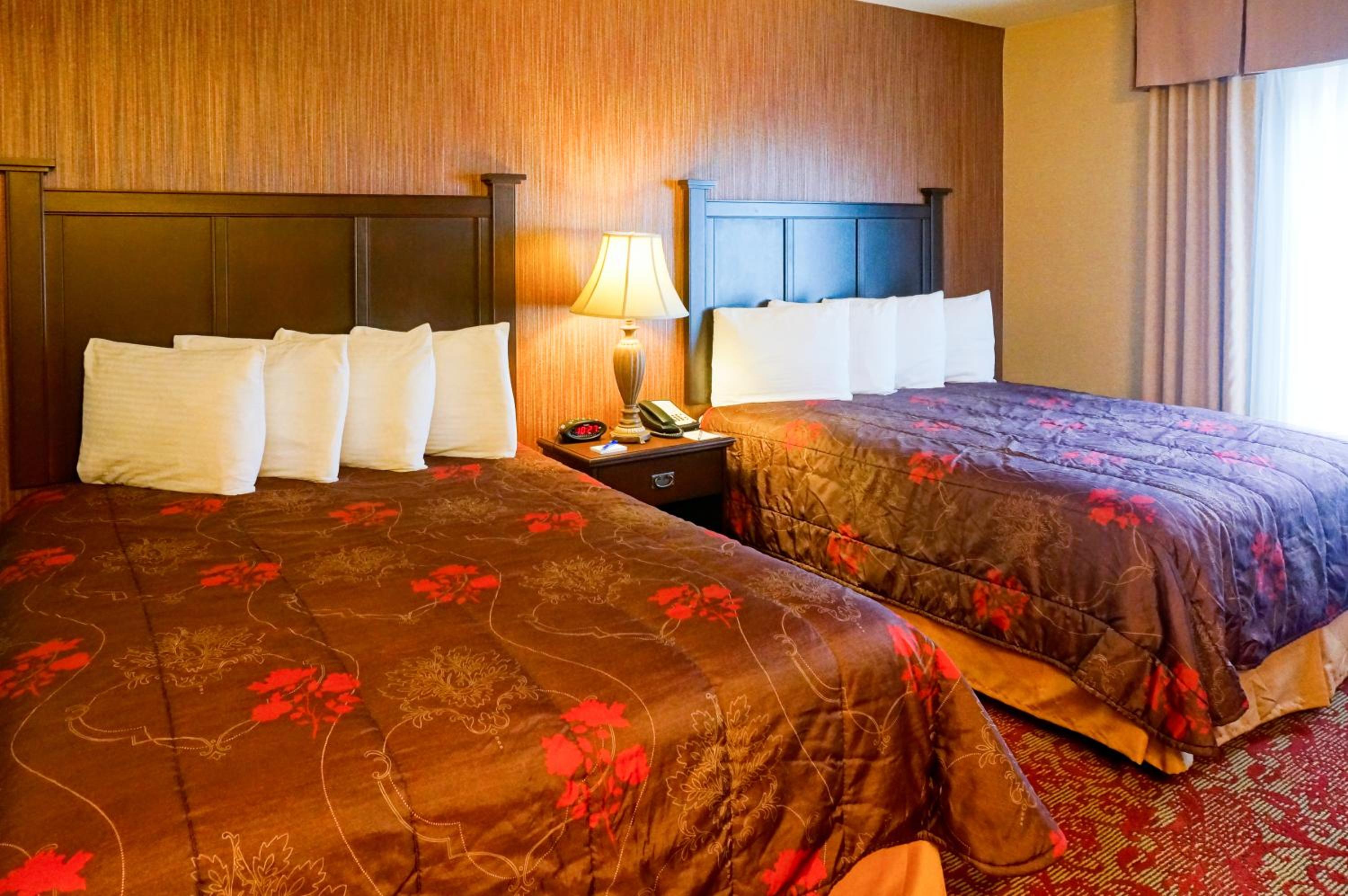 Family Suite - Photo 6