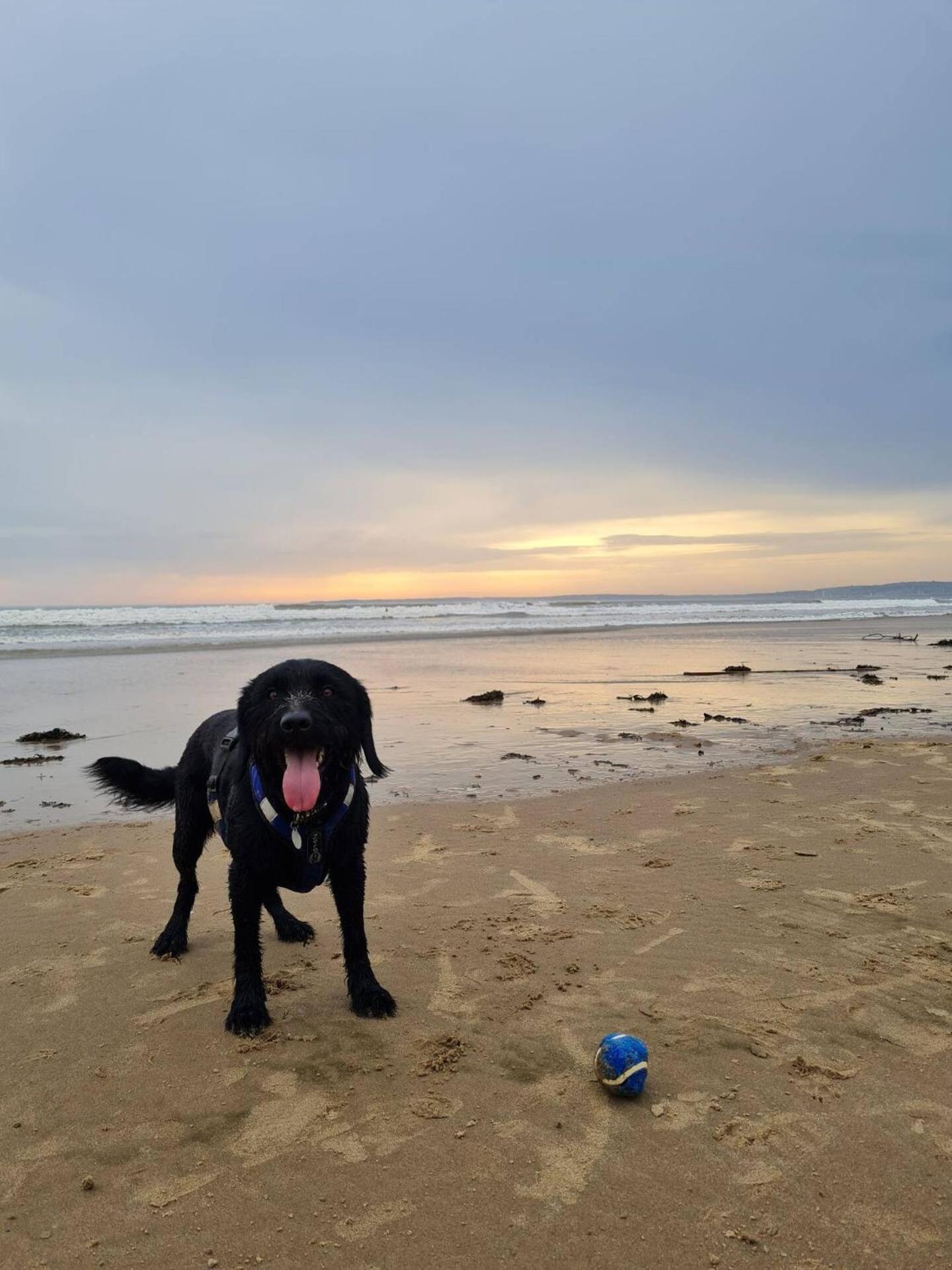 Two-Bedroom House - Photo 16