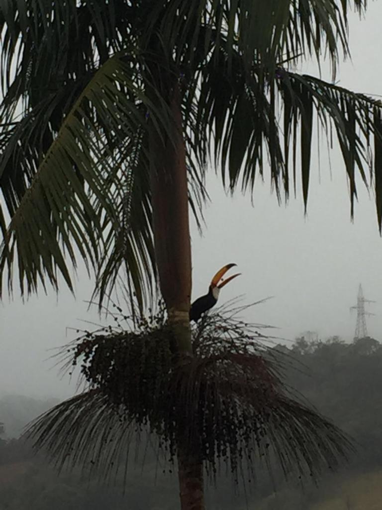 Chalet - Photo 5