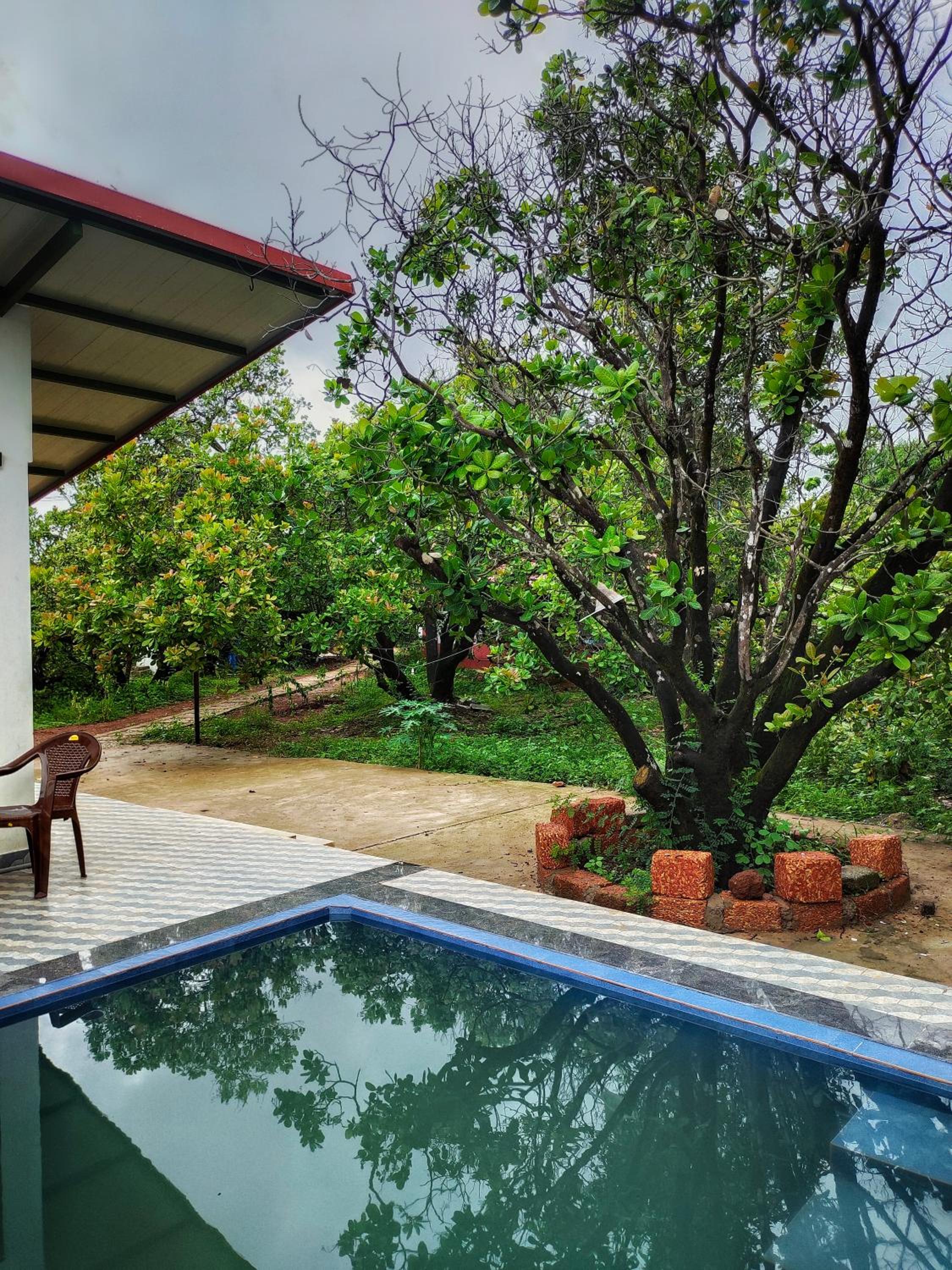 One-Bedroom House photo 3