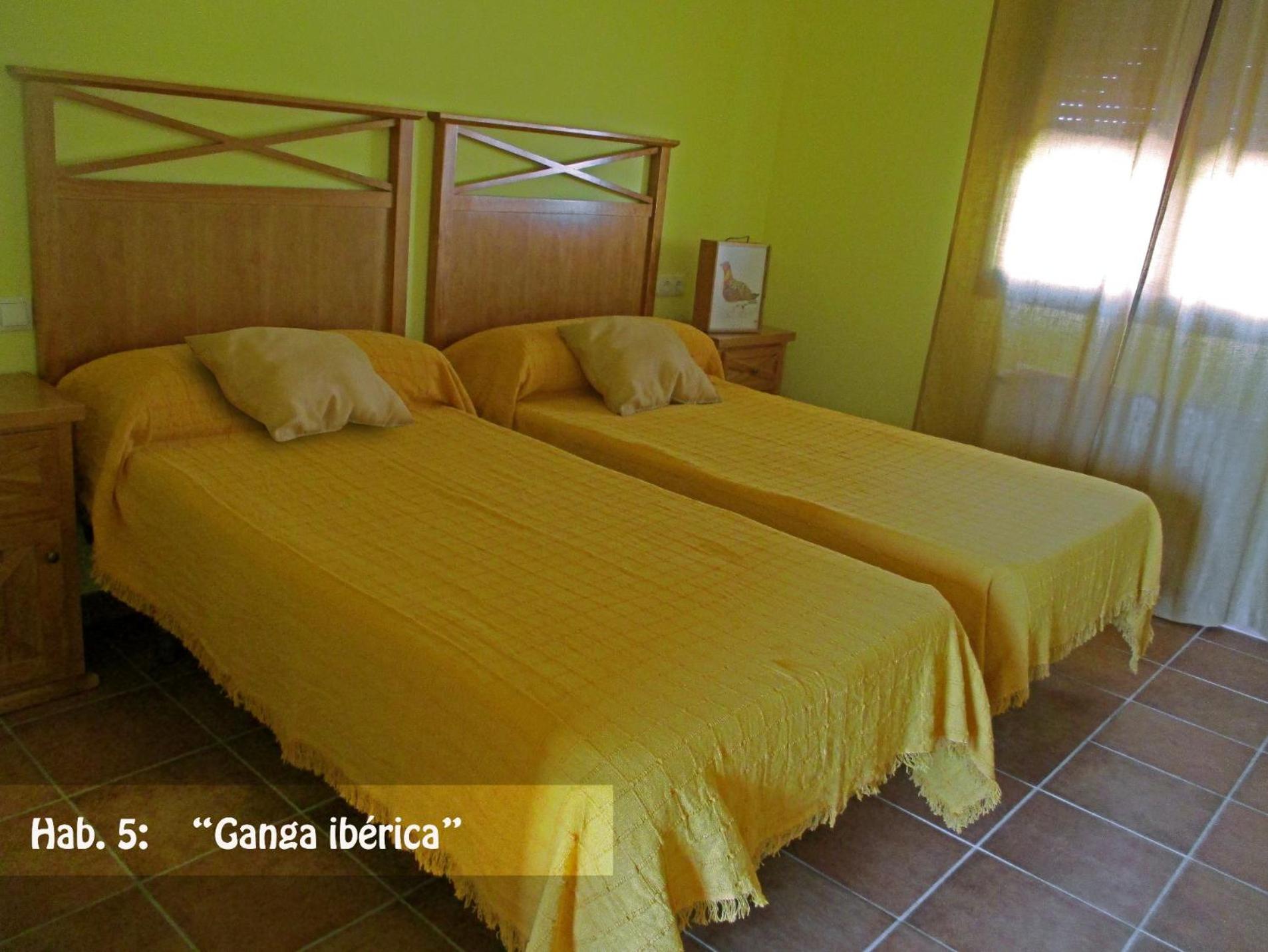 Habitación Doble