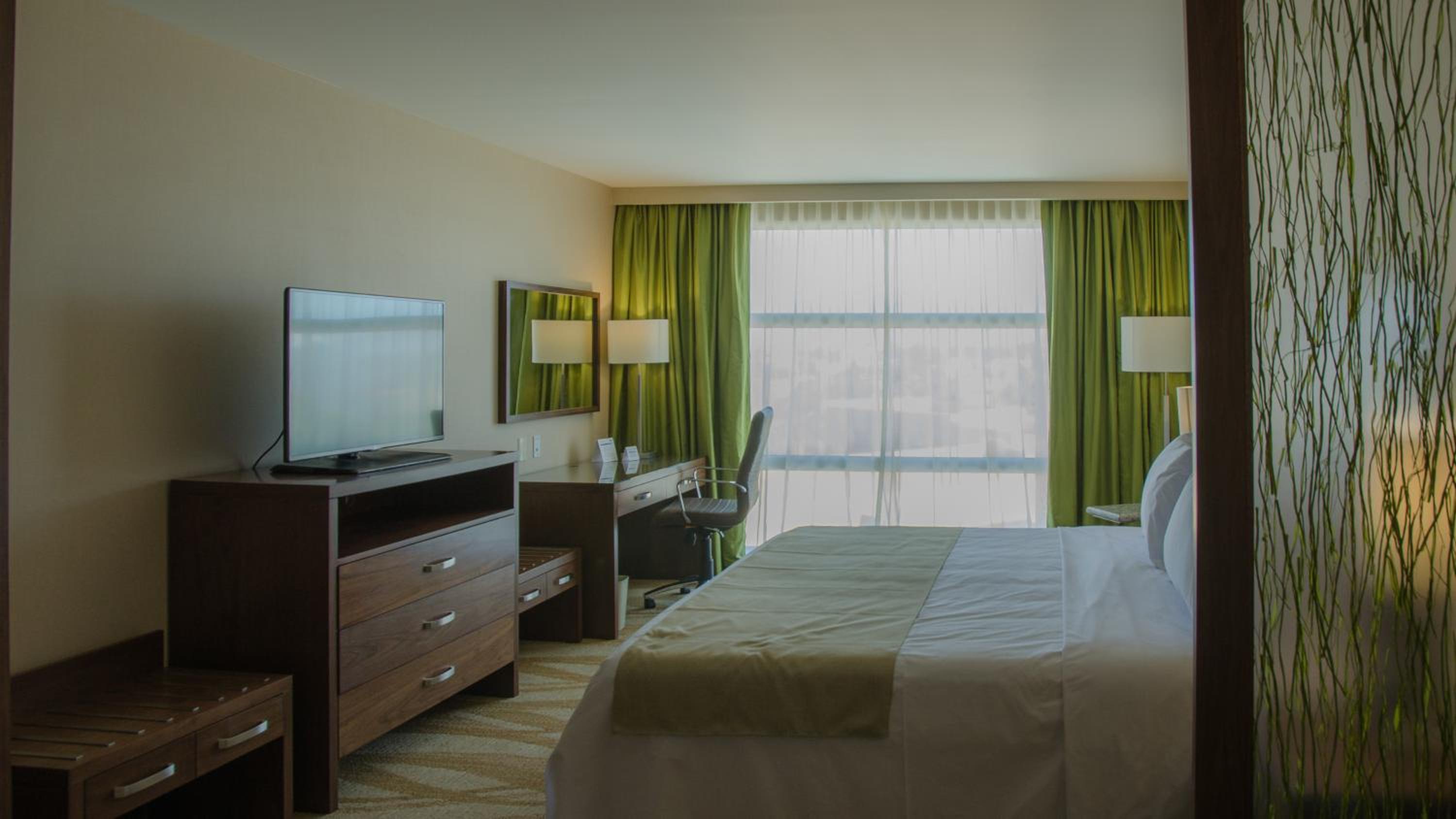King Suite photo 1