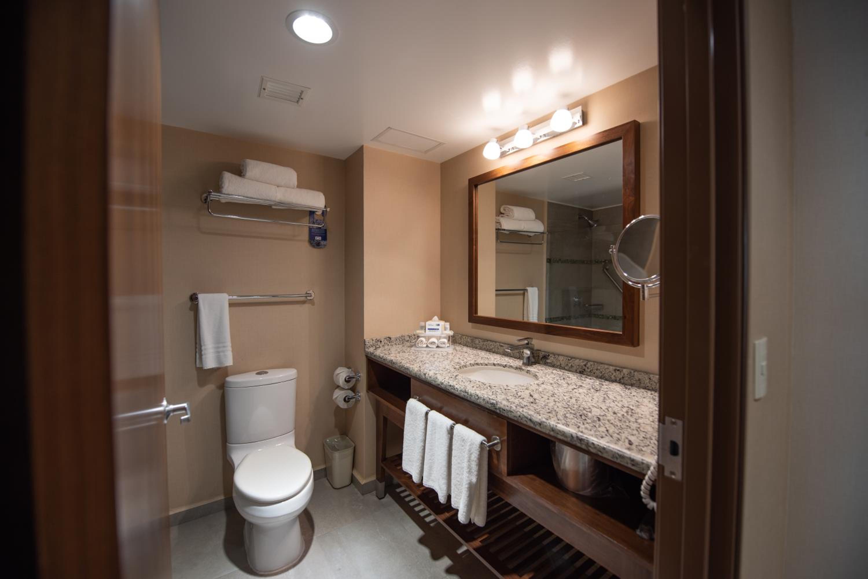 King Suite photo 3