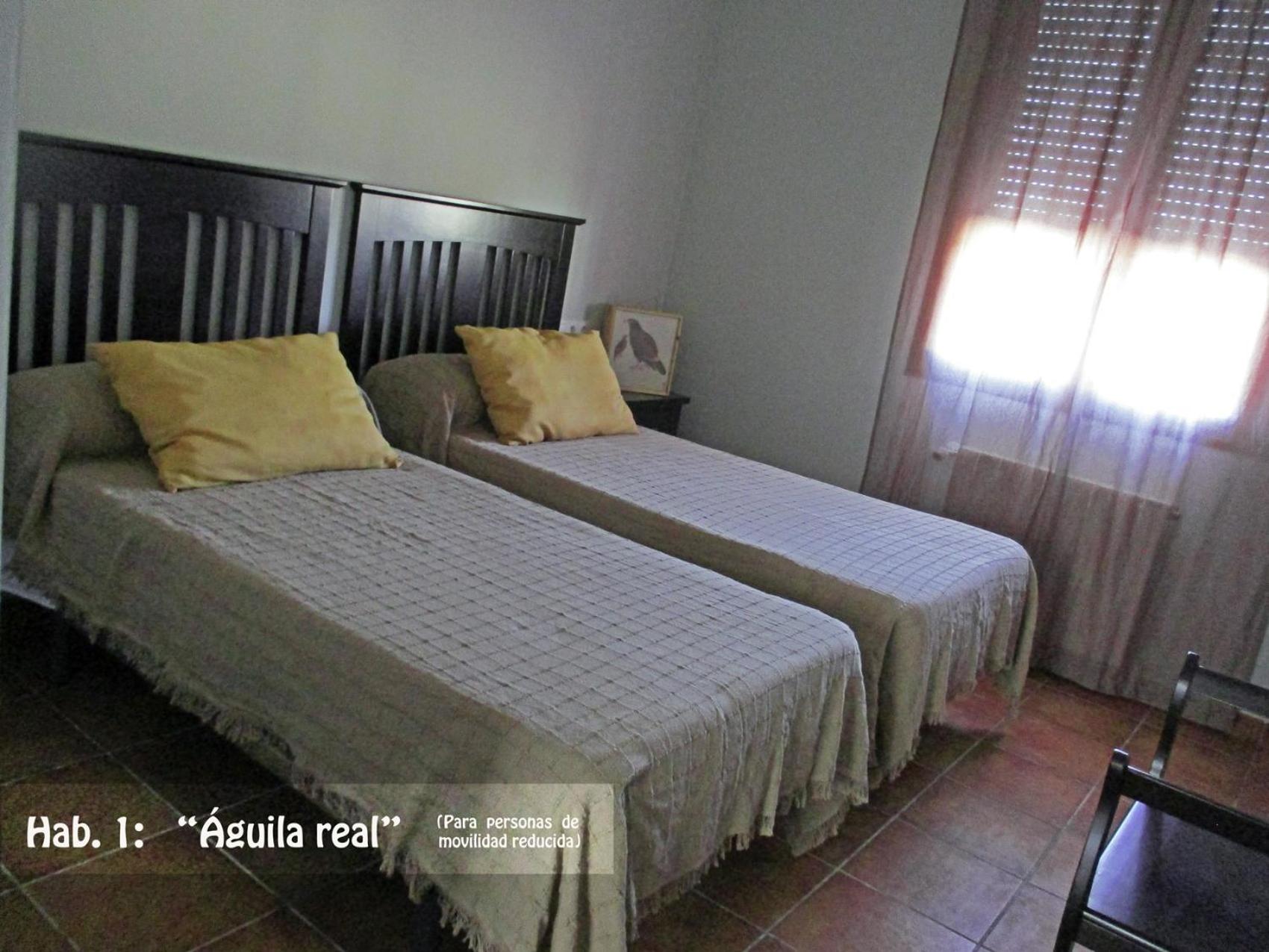 Habitación Doble - Acceso para personas con discapacidad