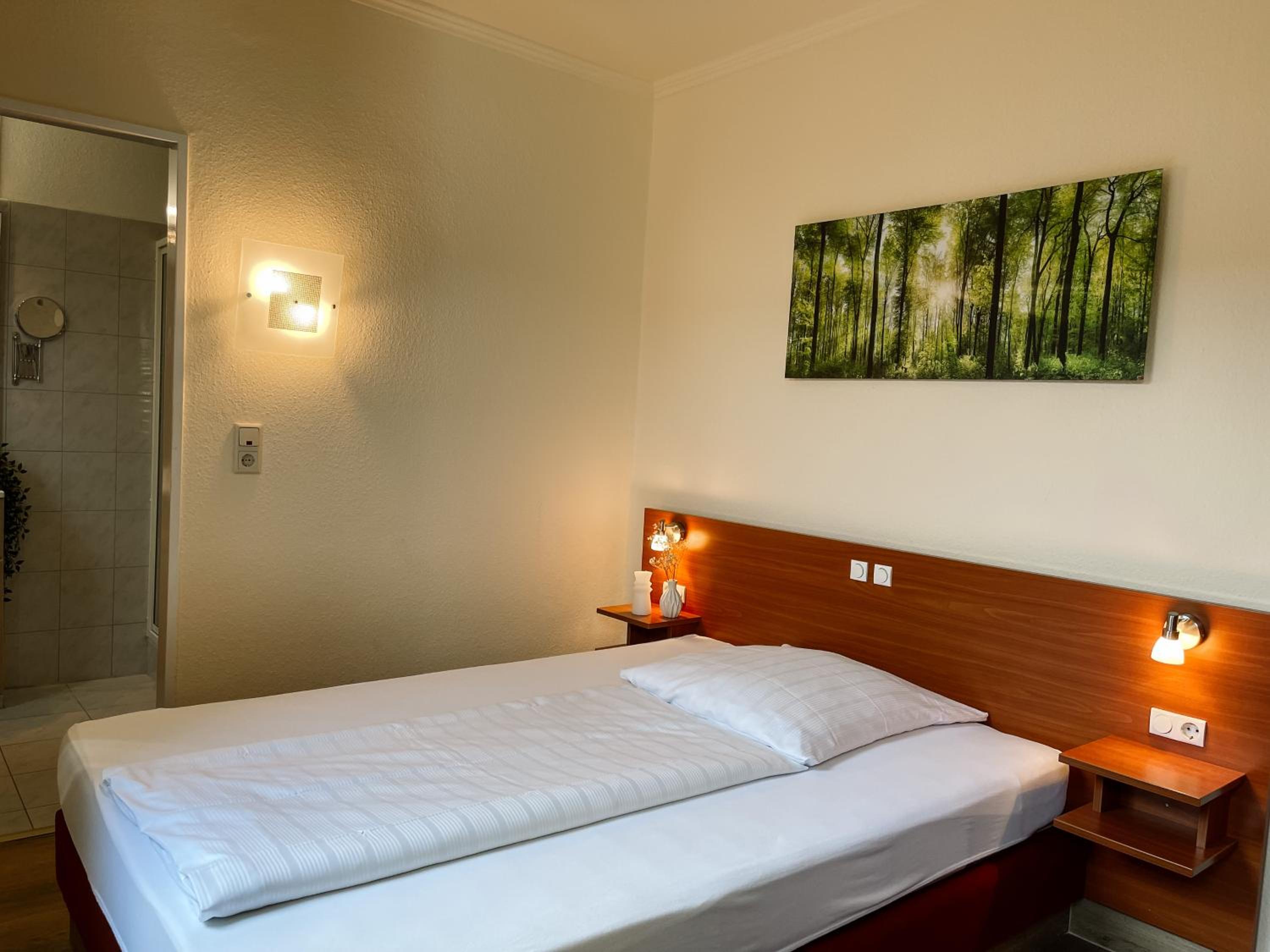 Superior Single Room photo 1