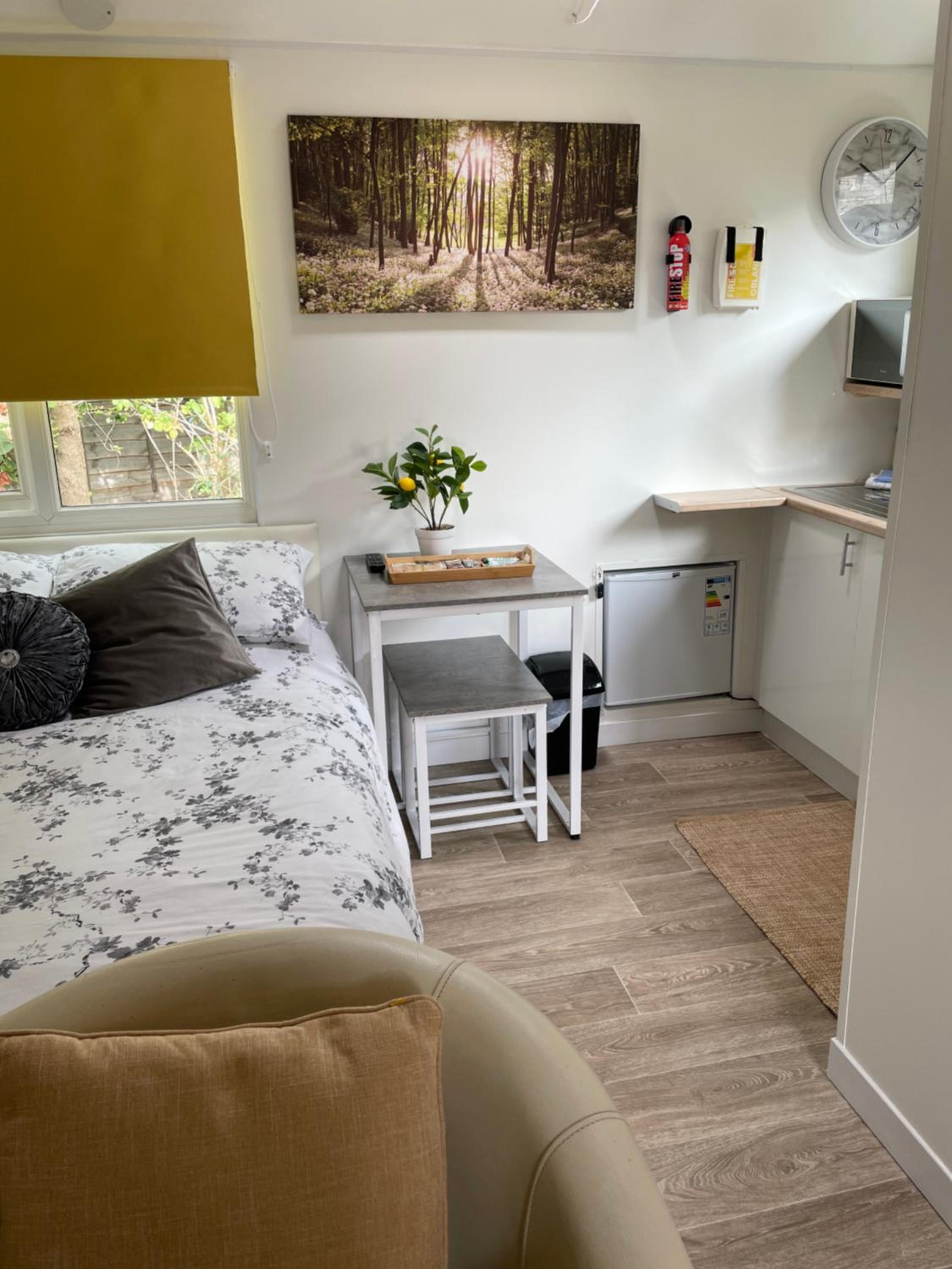 One-Bedroom Apartment photo 3