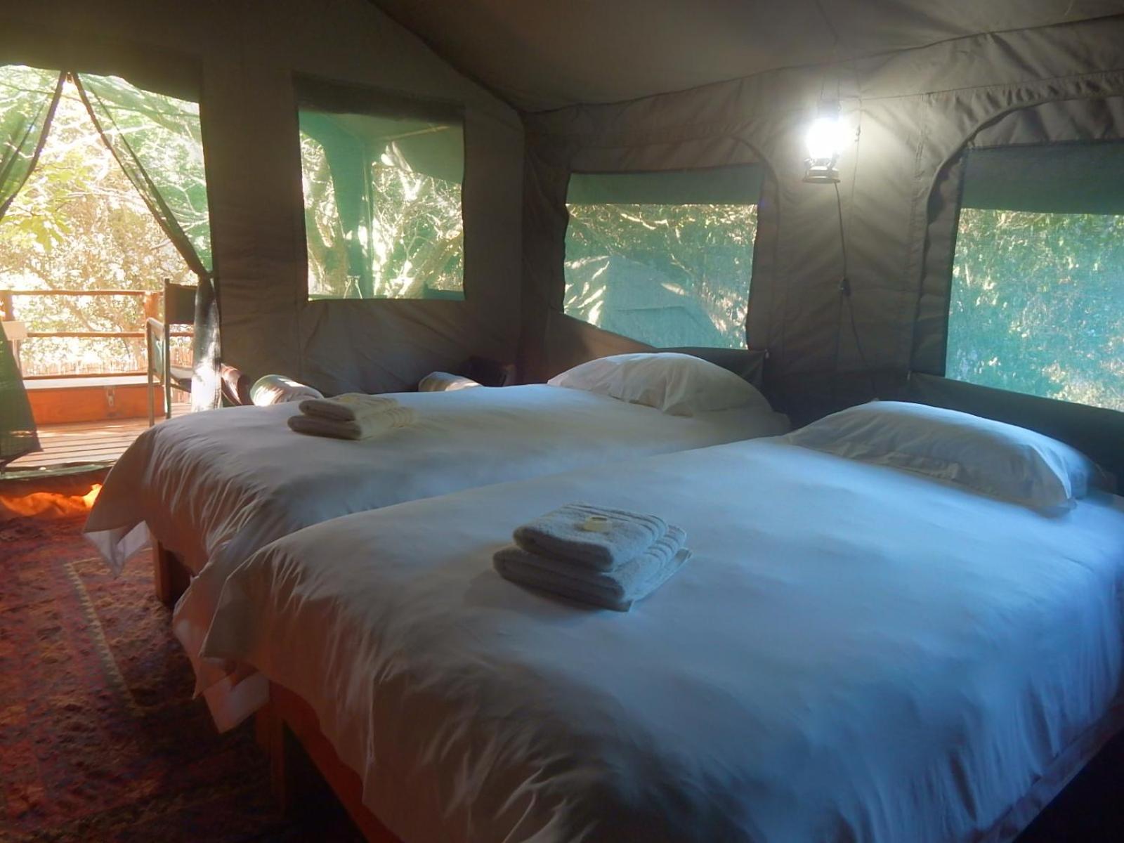 Tent photo 1