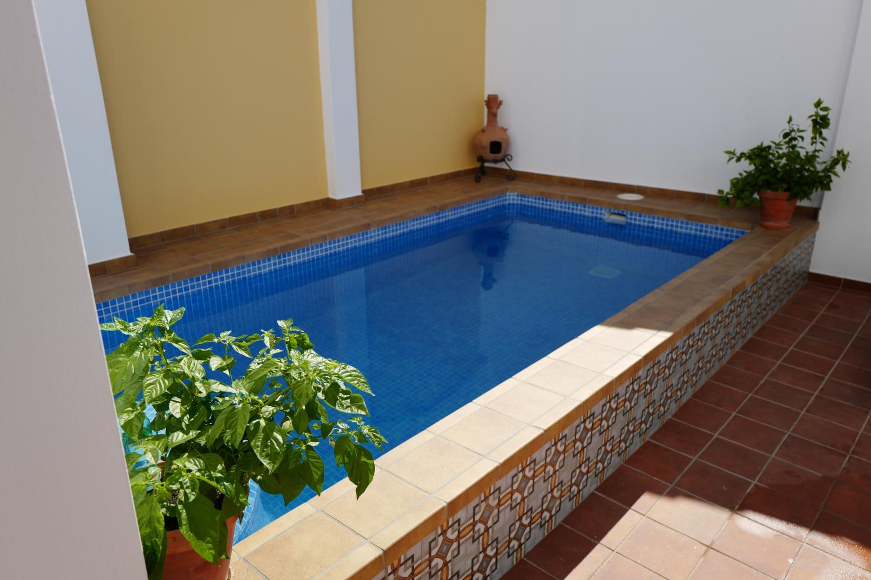Superior Villa photo 3