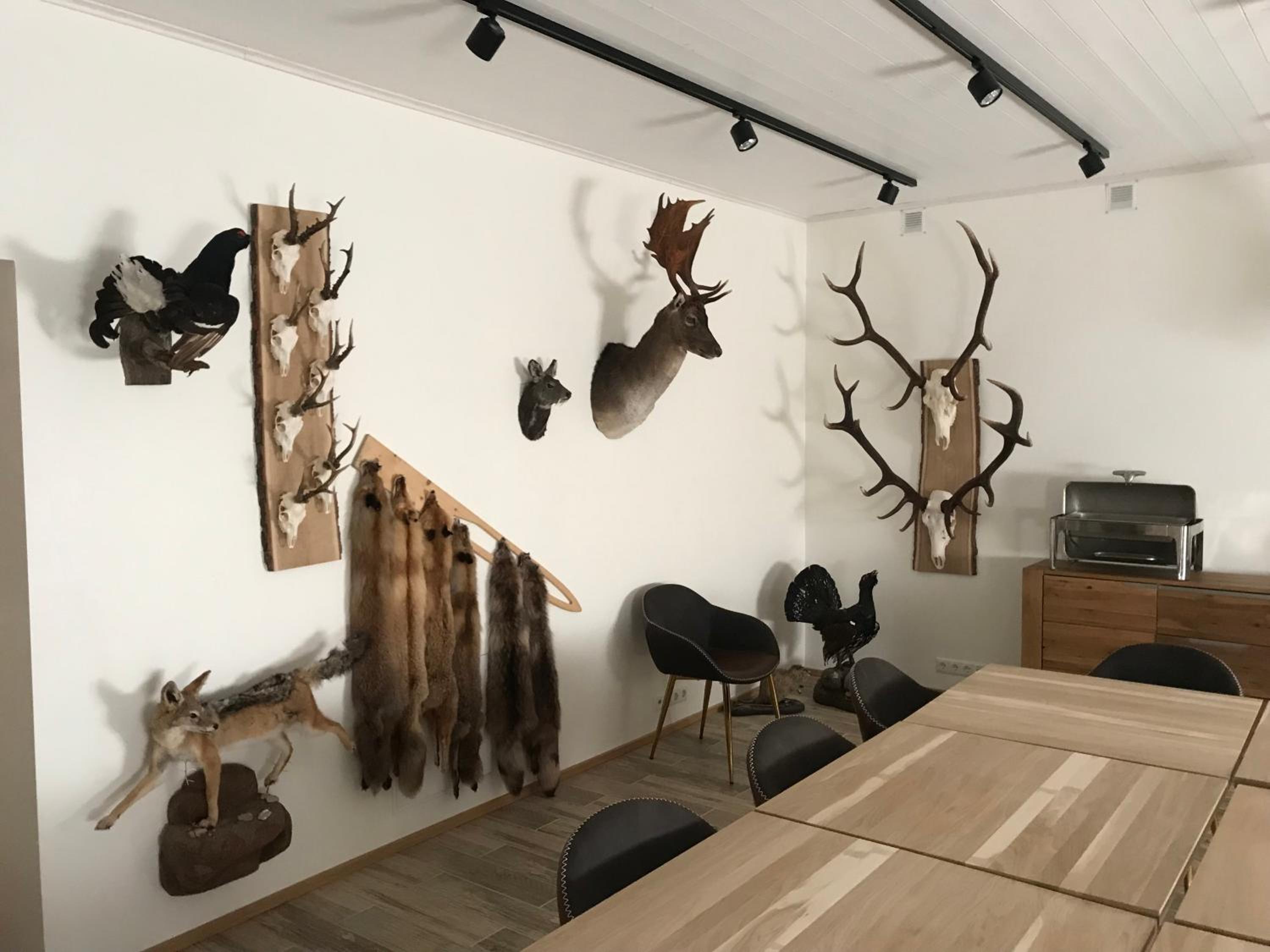 One-Bedroom Apartment - Photo 10
