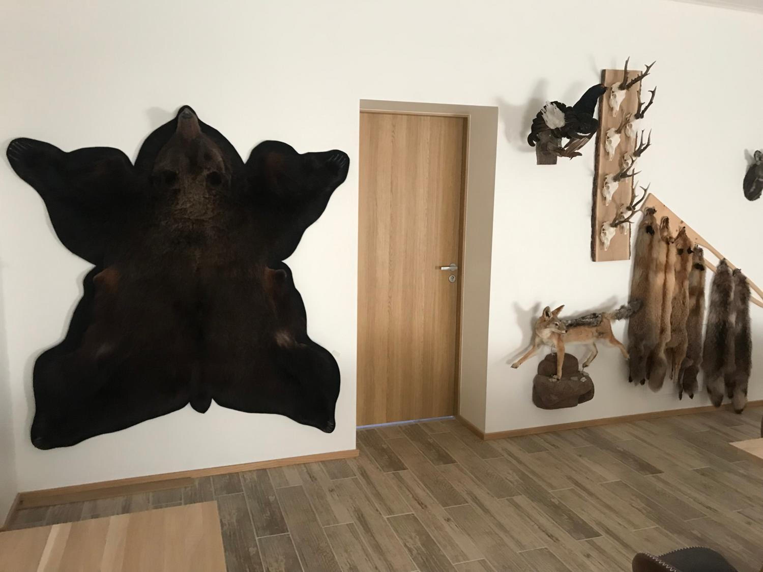 One-Bedroom Apartment - Photo 19