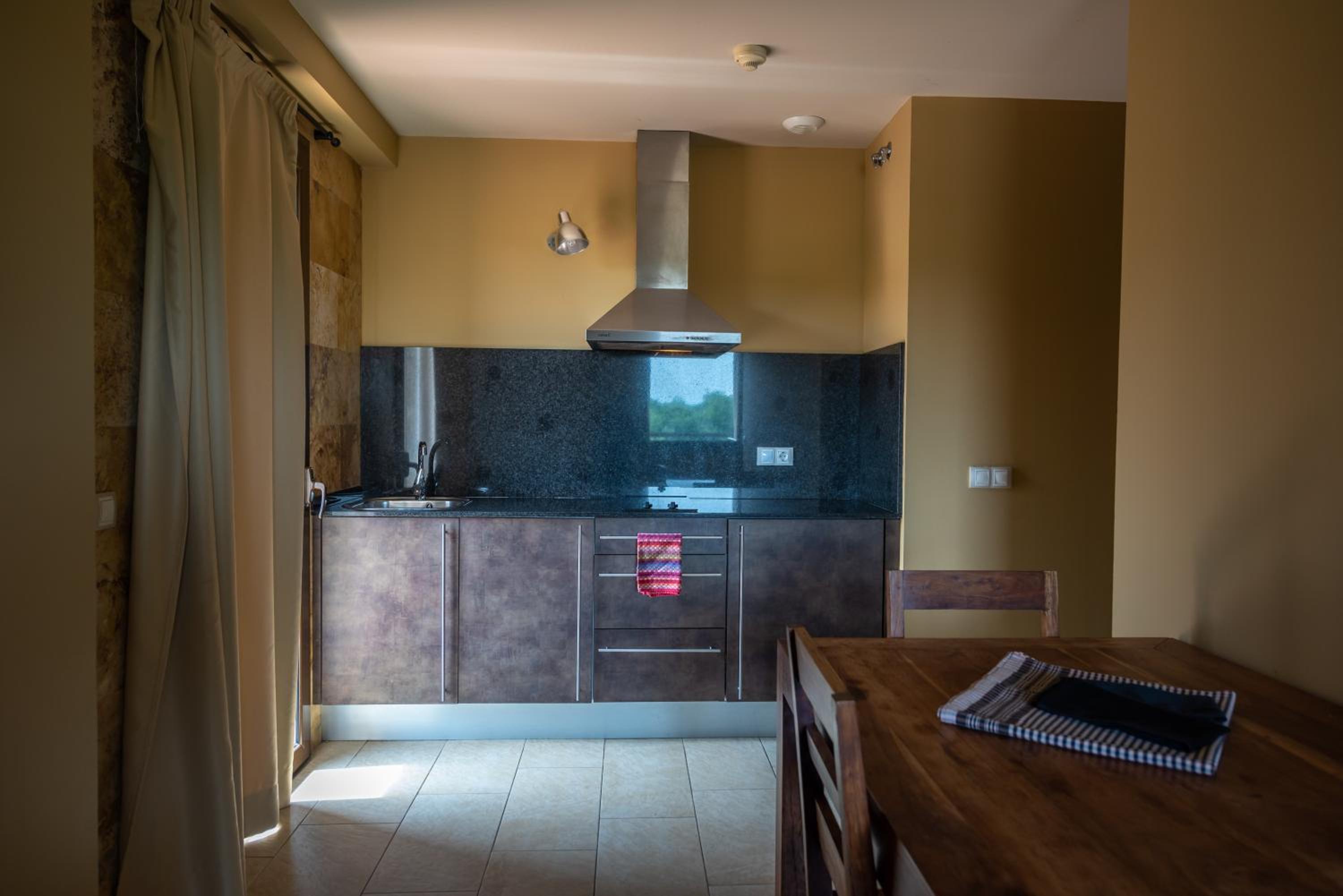One-Bedroom Apartment with Terrace photo 3