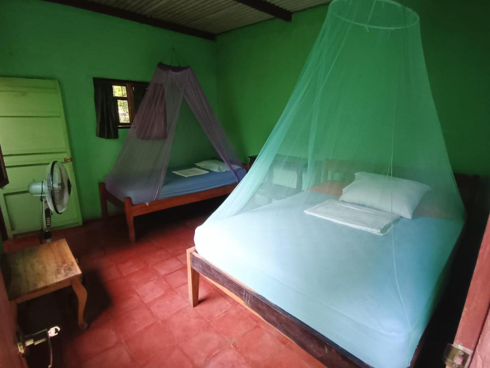 Triple Room photo 2