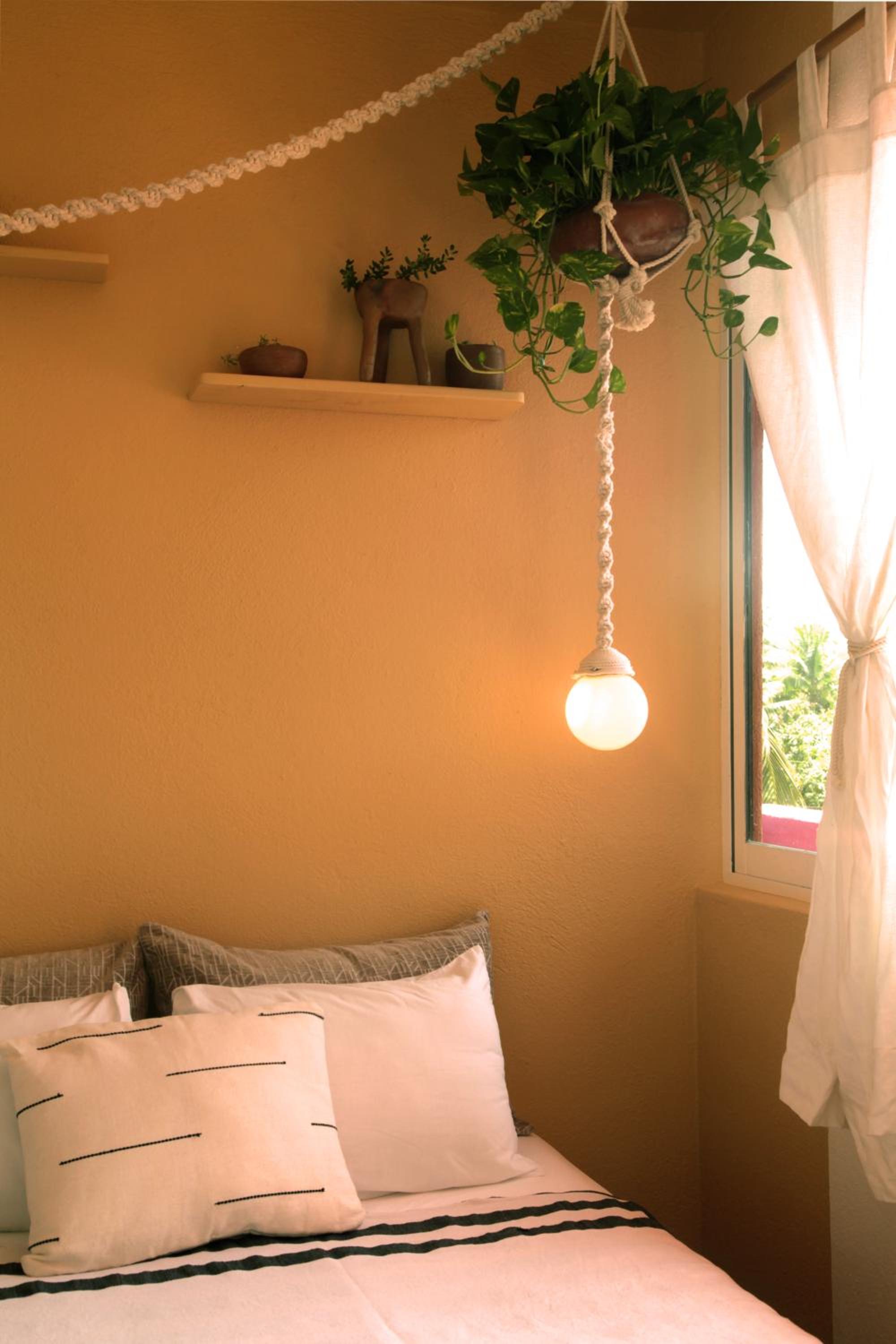 Standard Double or Twin Room photo 3