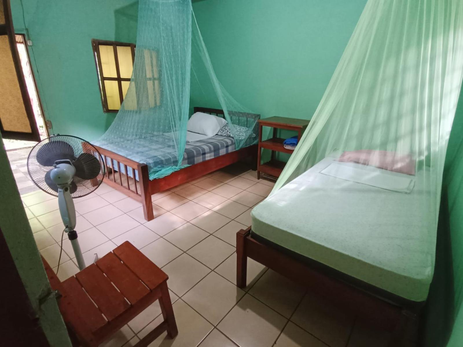 Triple Room photo 3