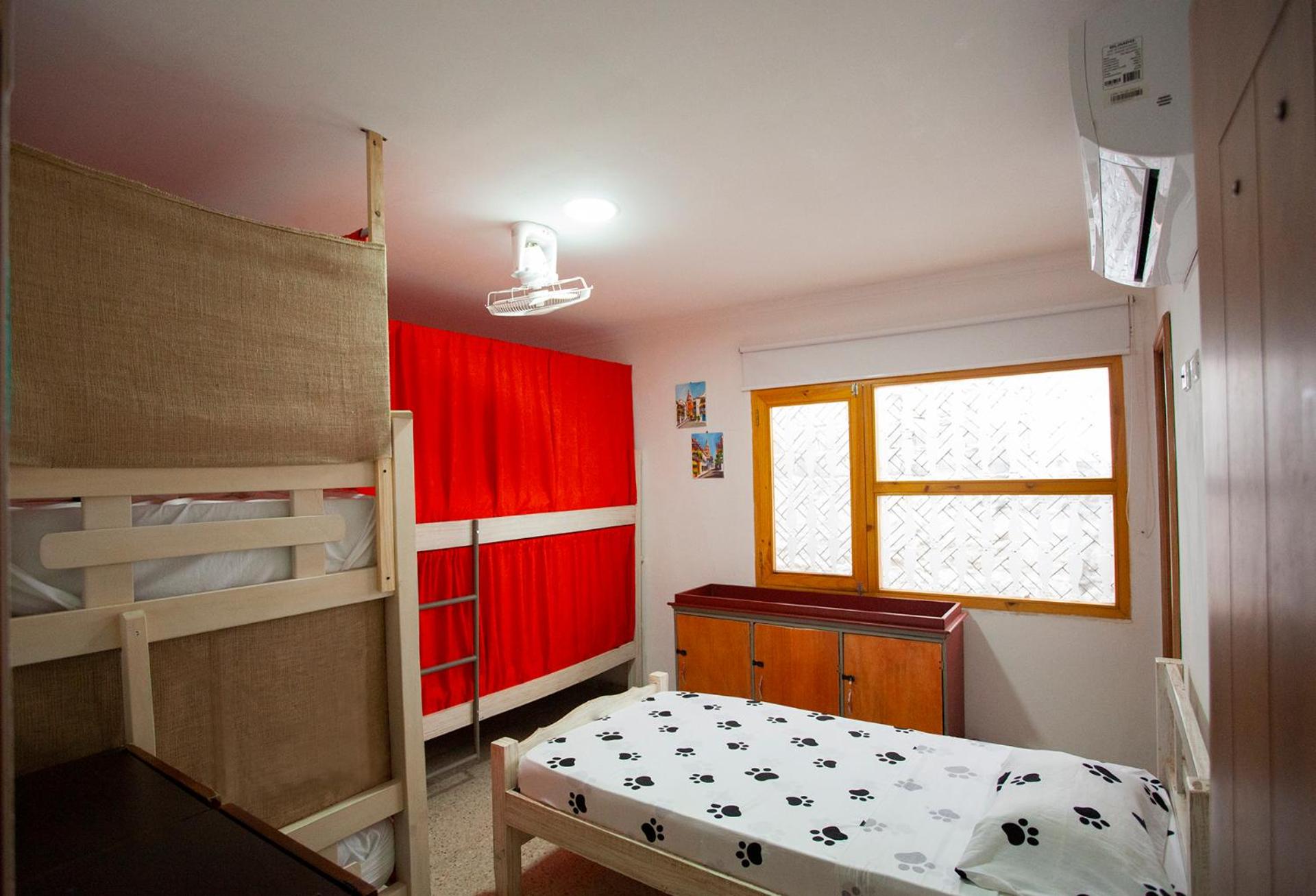 Bunk Bed in Mixed Dormitory Room photo 1