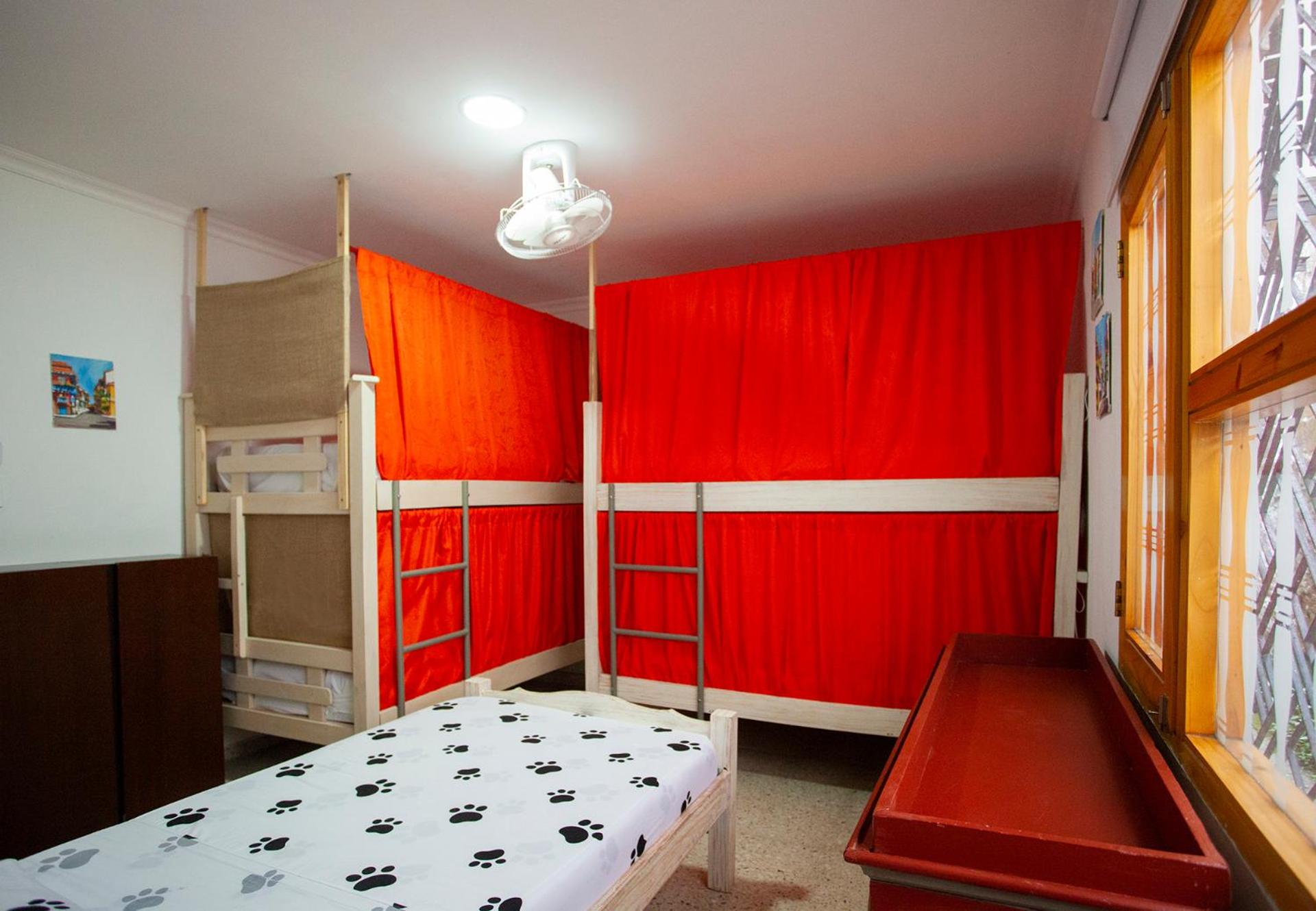 Bunk Bed in Mixed Dormitory Room photo 2