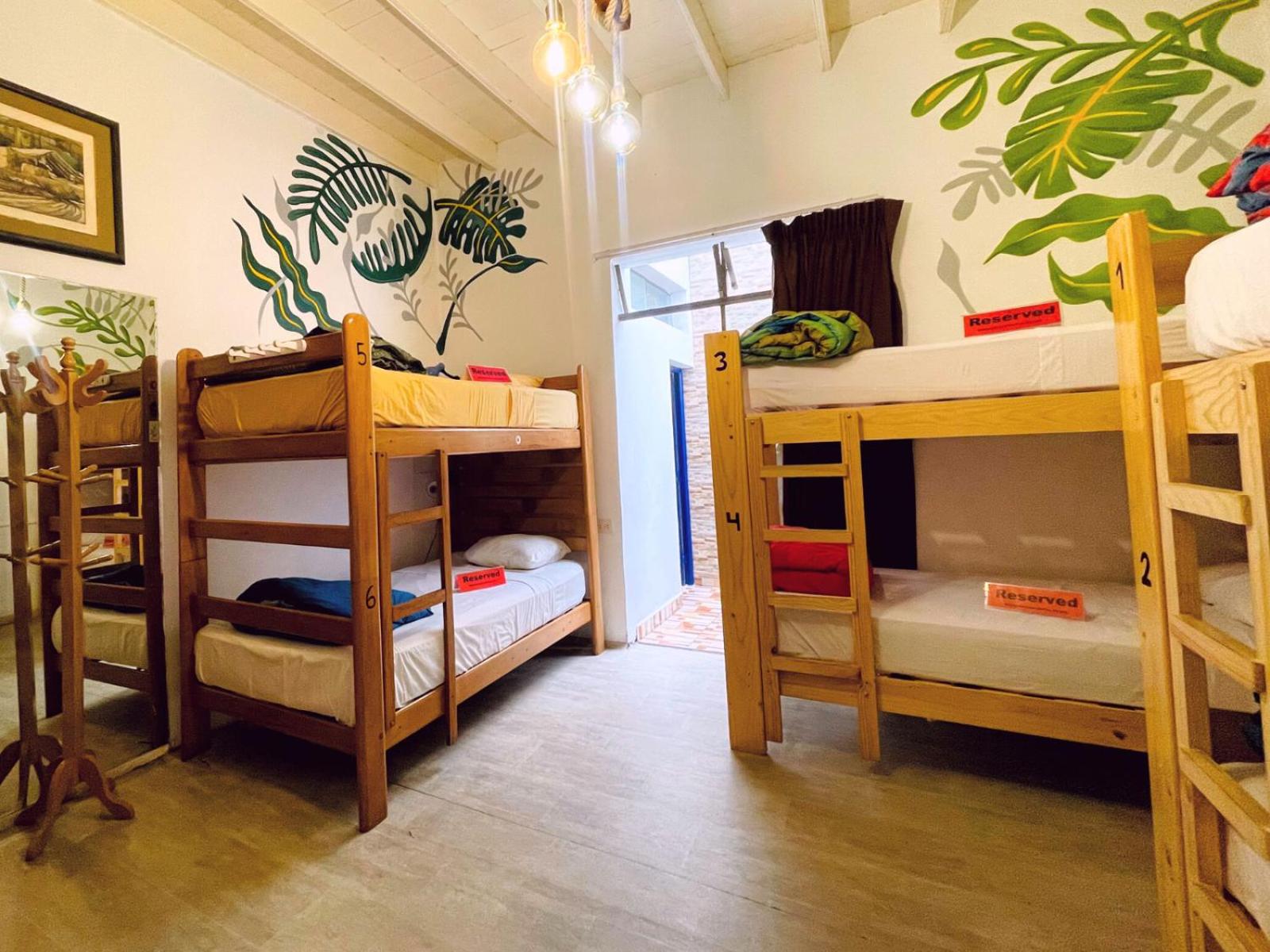 Bed in 6-Bed Mixed Dormitory Room photo 2