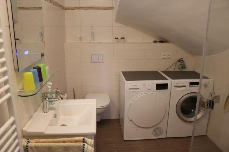 Apartment with Terrace photo 2