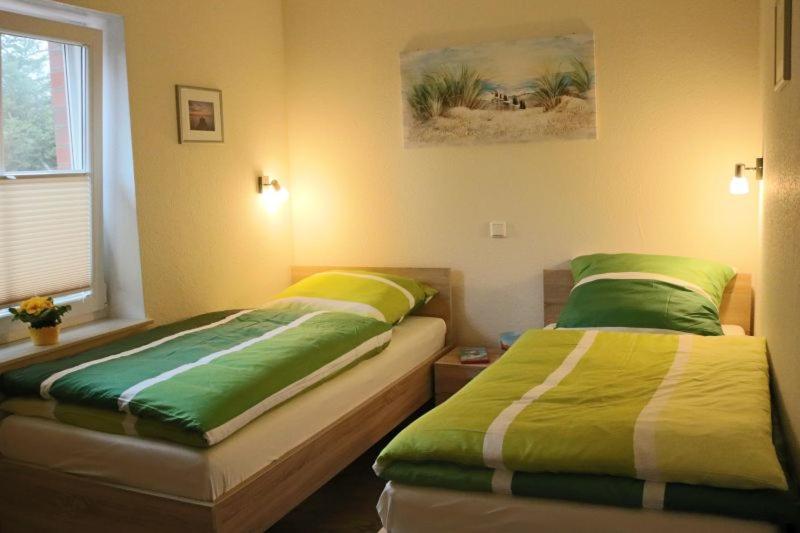 Apartment with Terrace photo 3