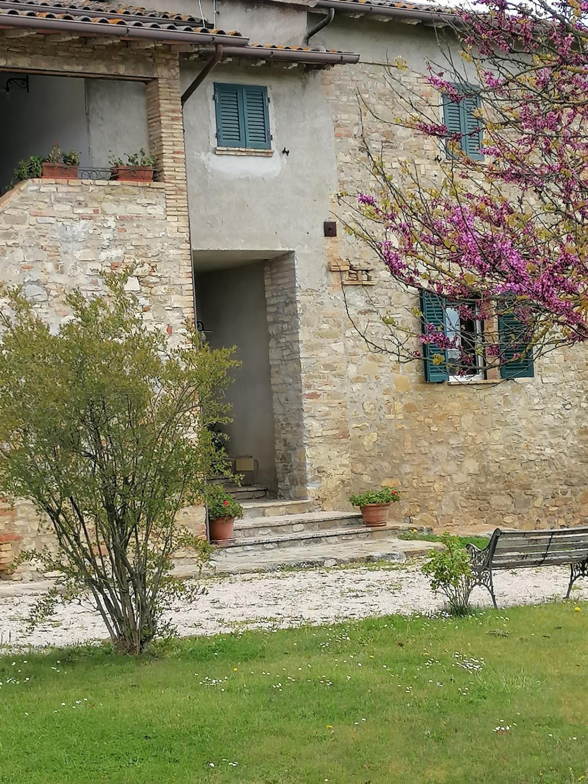 Apartment with Garden View photo 2