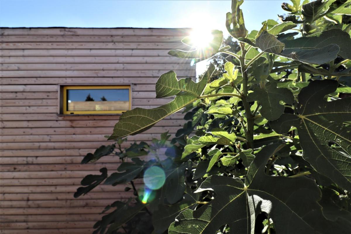 Holiday Home photo 1