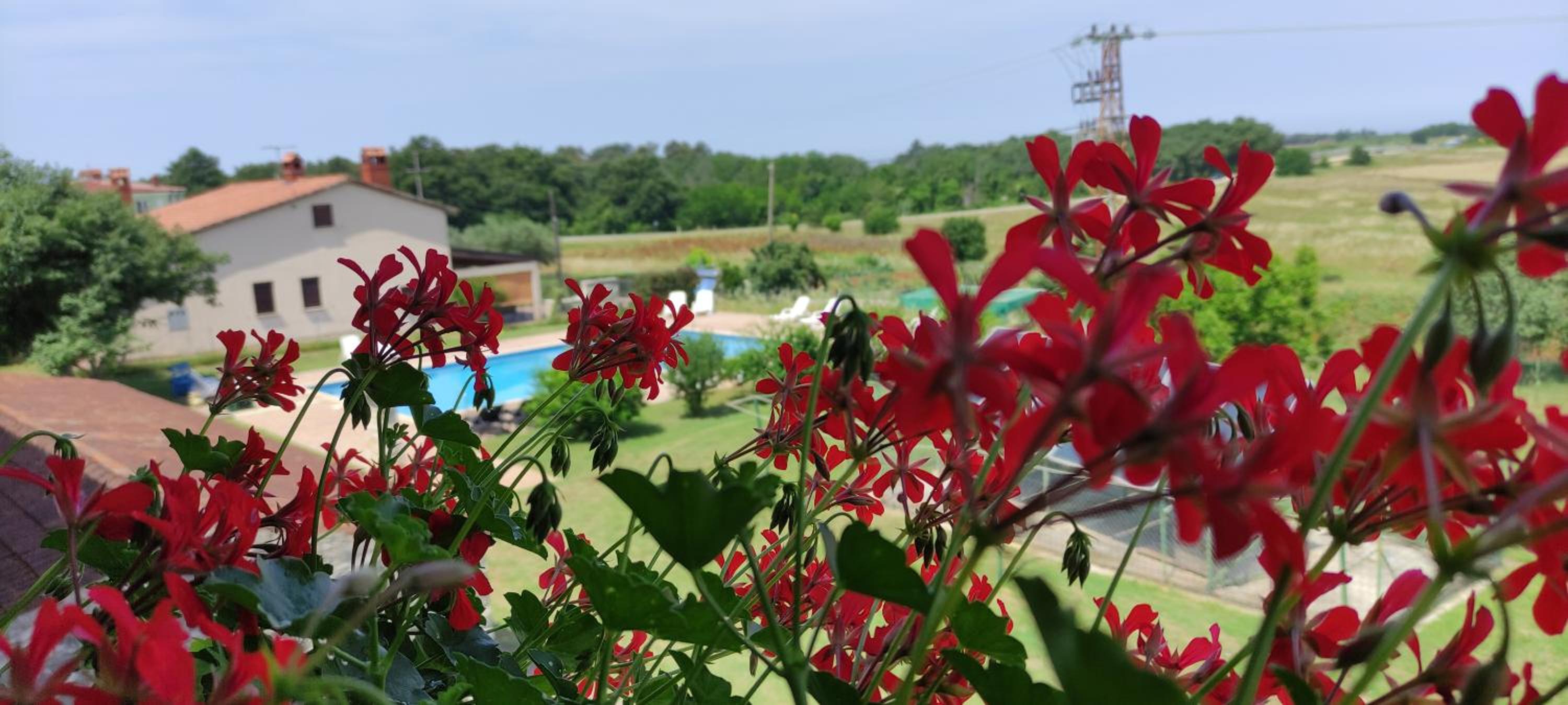 Apartment with Garden View