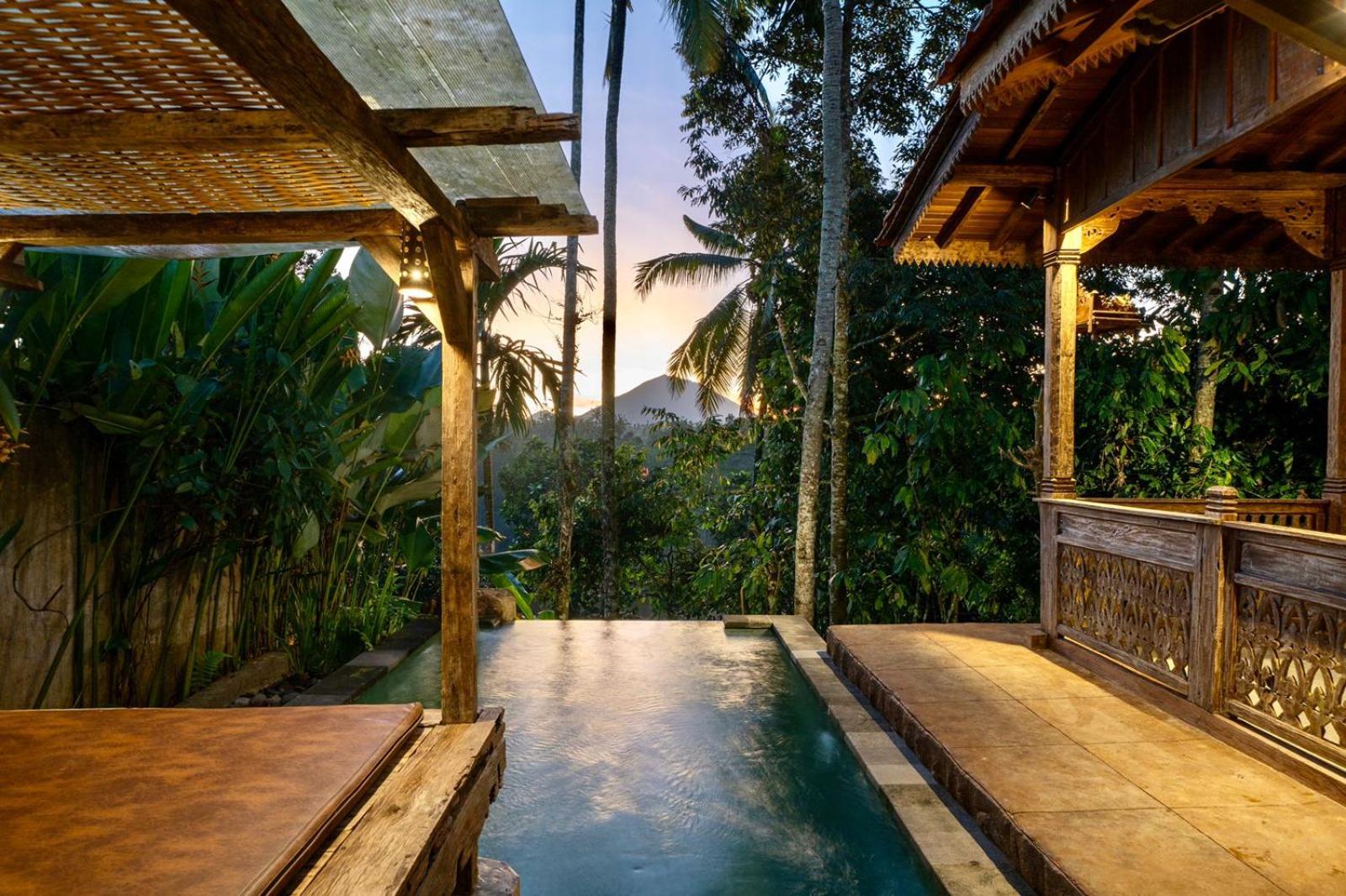 One Bedroom Villa with Jungle View - Photo 3