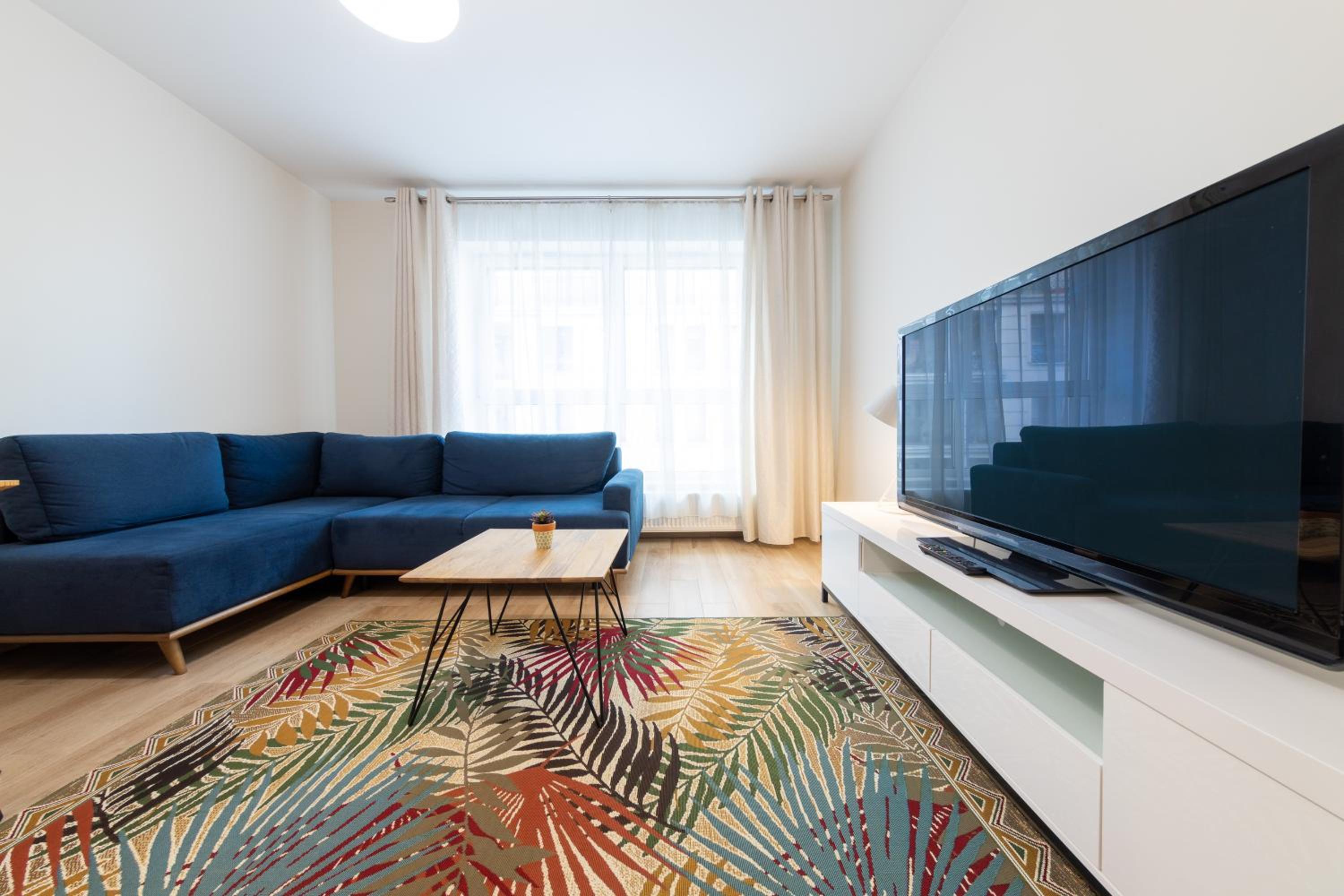 Studio with Sofa Bed photo 3