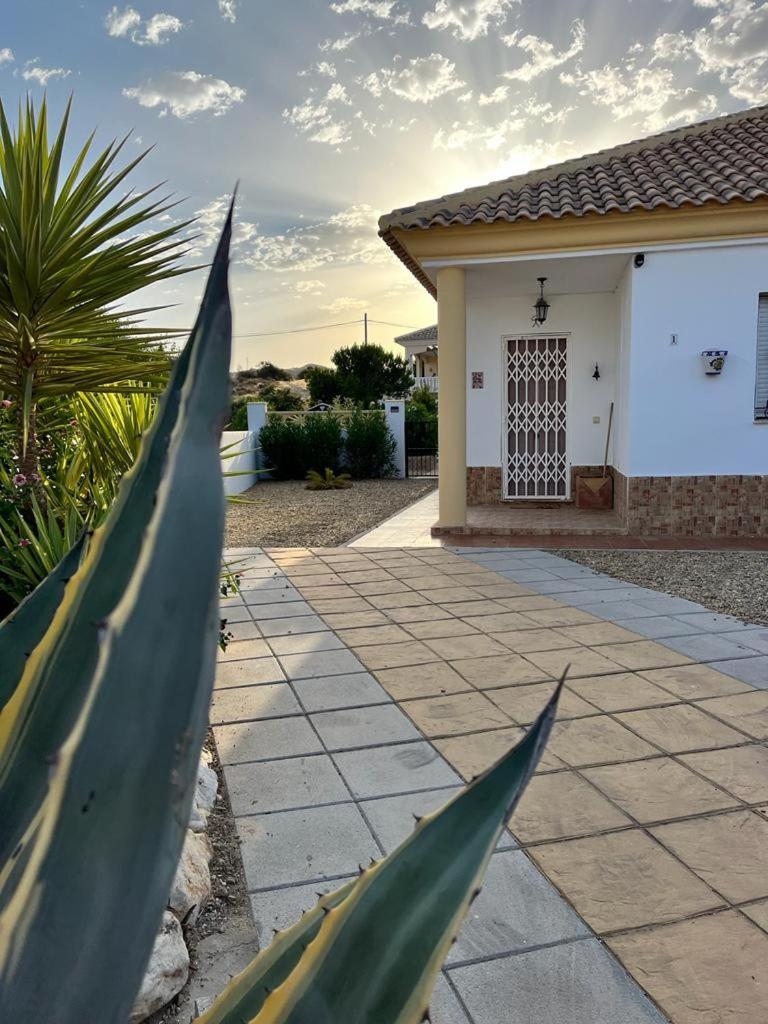 Deluxe Villa photo 2