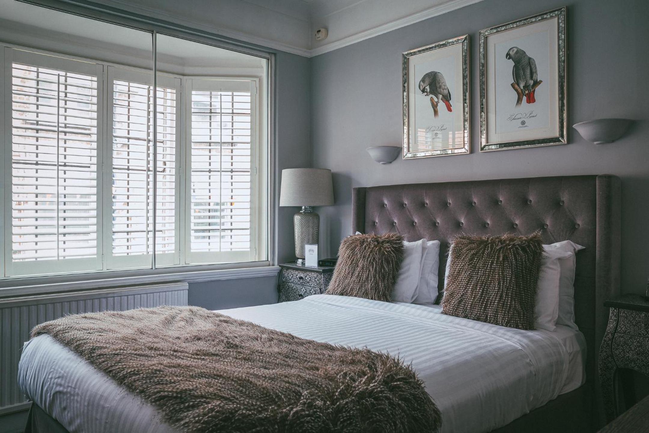 Superior King Room photo 3