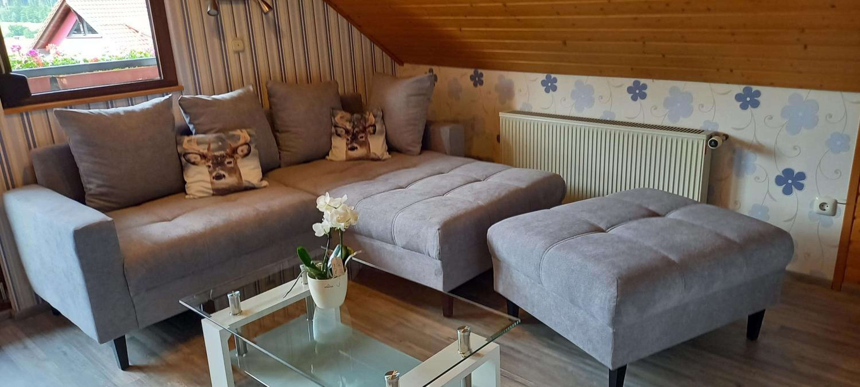 Apartment with Garden View photo 1