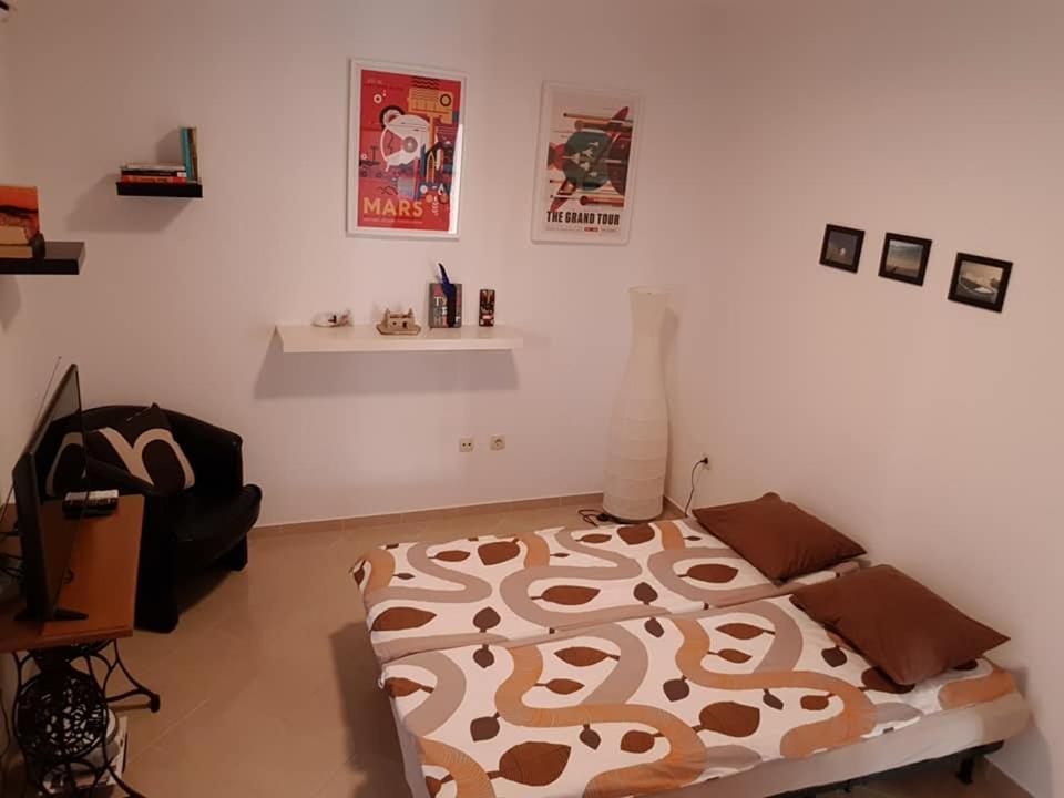 One-Bedroom Apartment photo 3