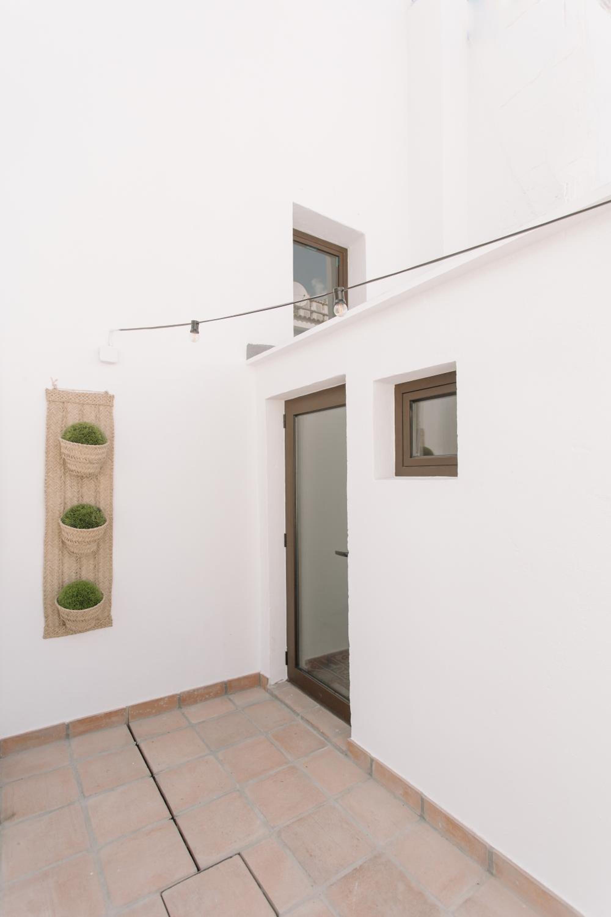 Apartment with Terrace photo 3
