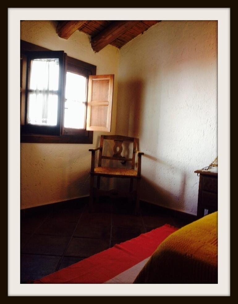 One-Bedroom Apartment Yellow photo 2