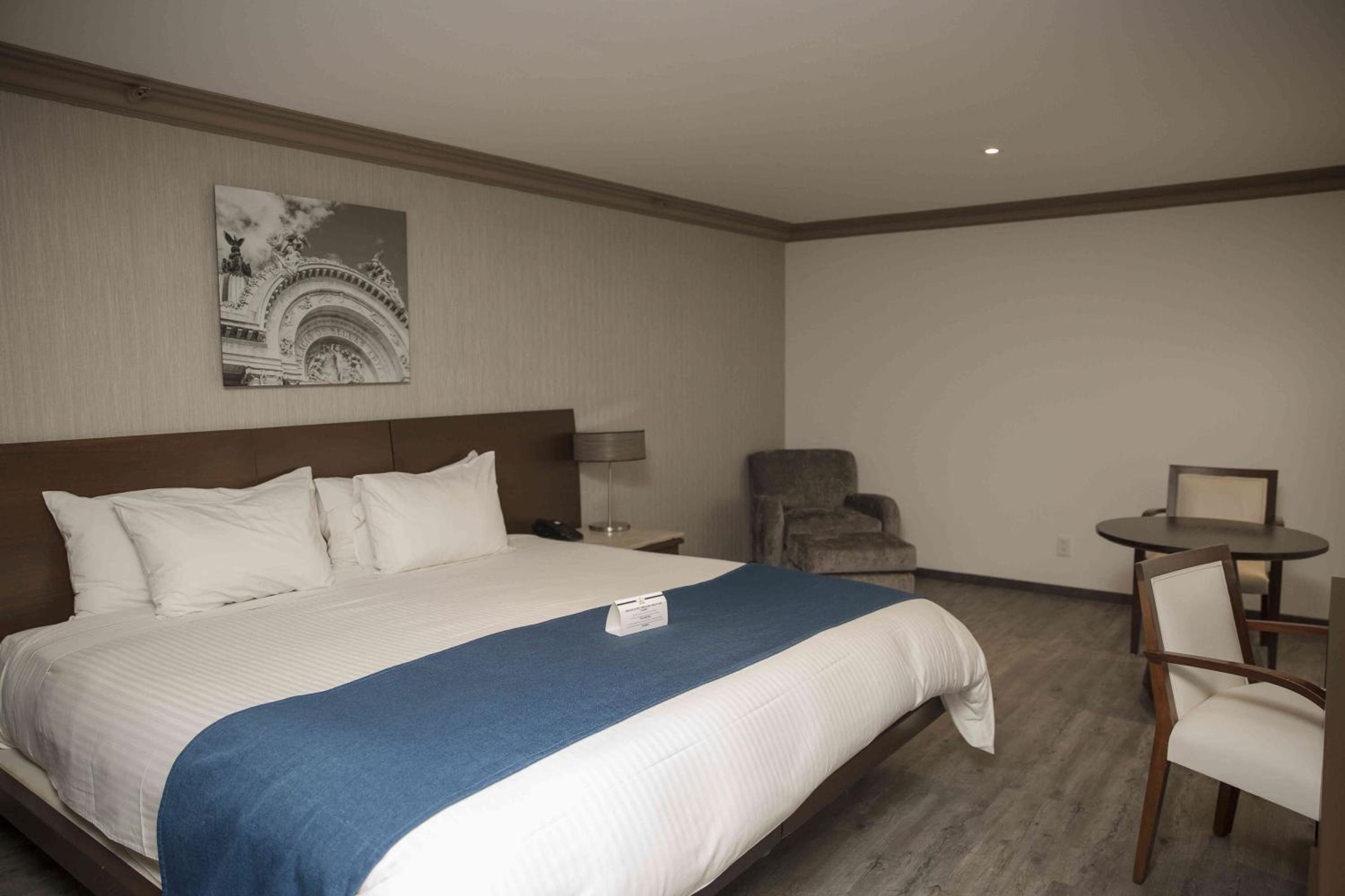Junior Suite - Photo 1